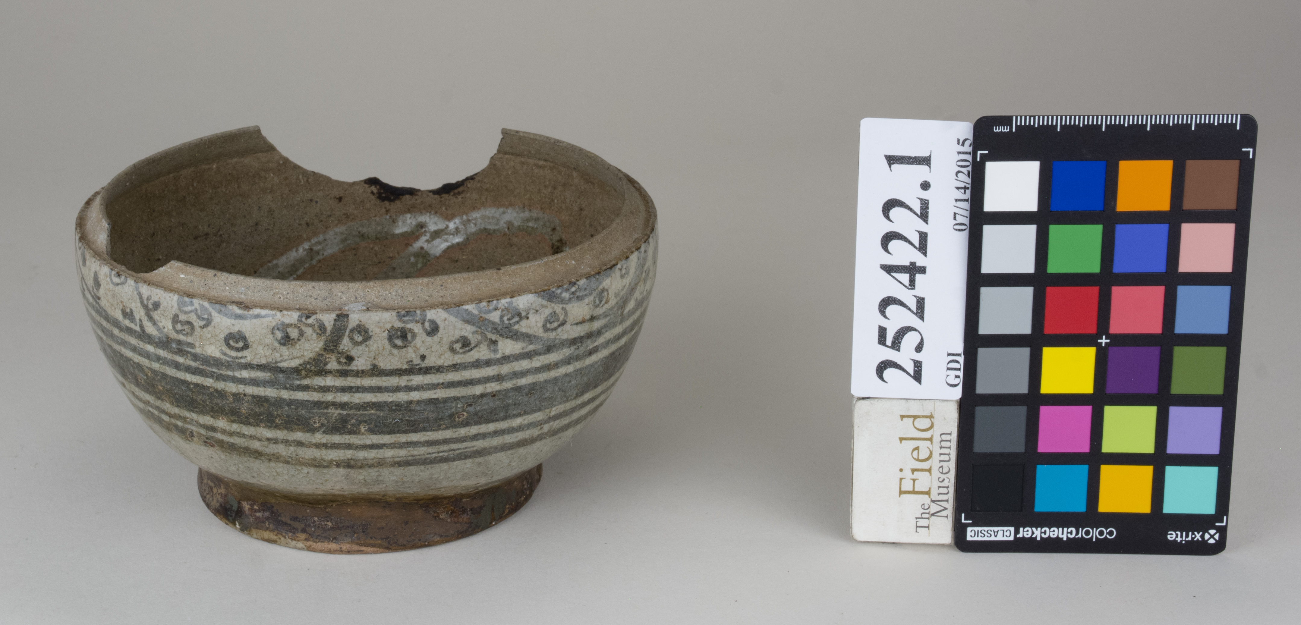 FrontAngle (c) Field Museum of Natural History - CC BY-NC 4.0