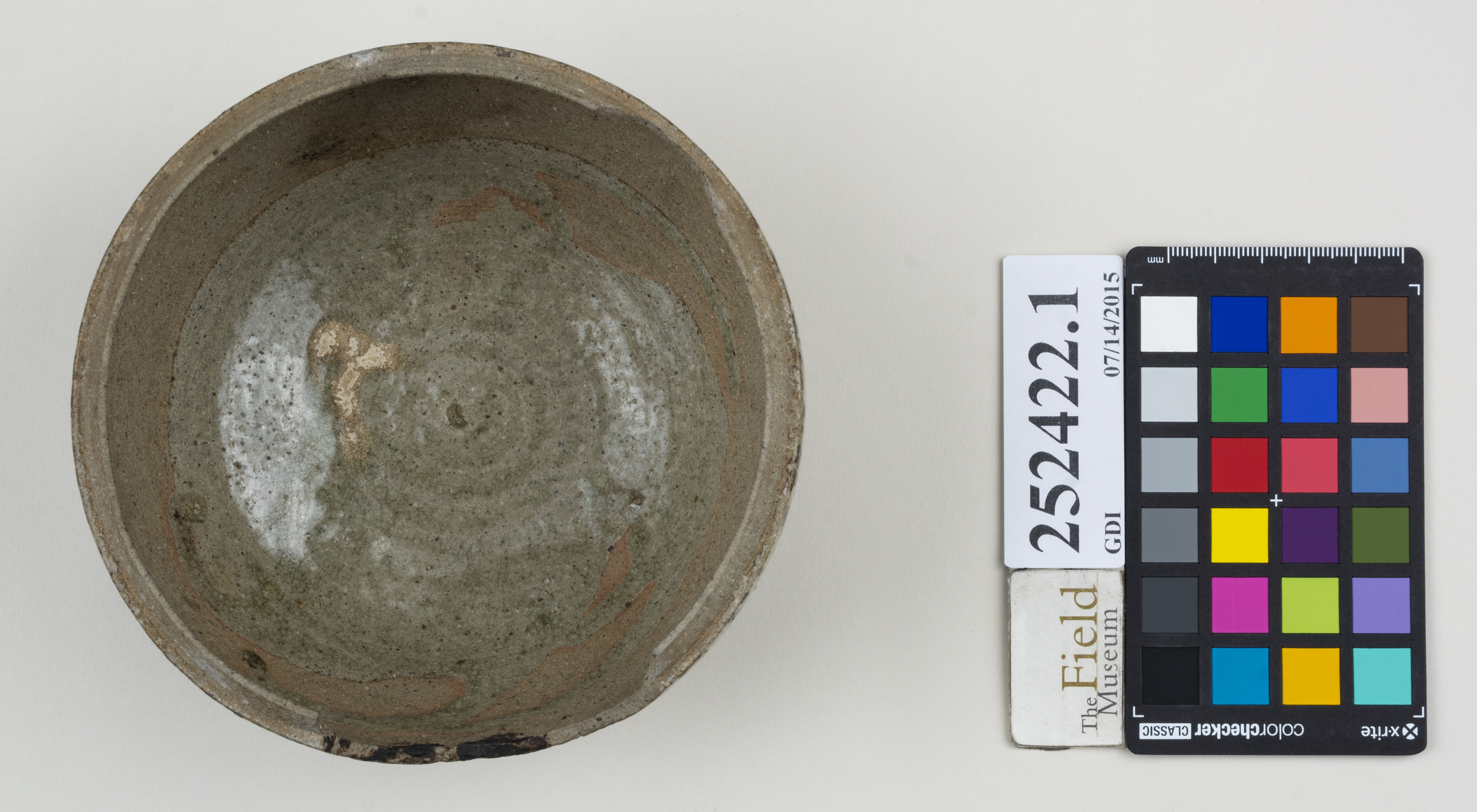 Top (c) Field Museum of Natural History - CC BY-NC 4.0