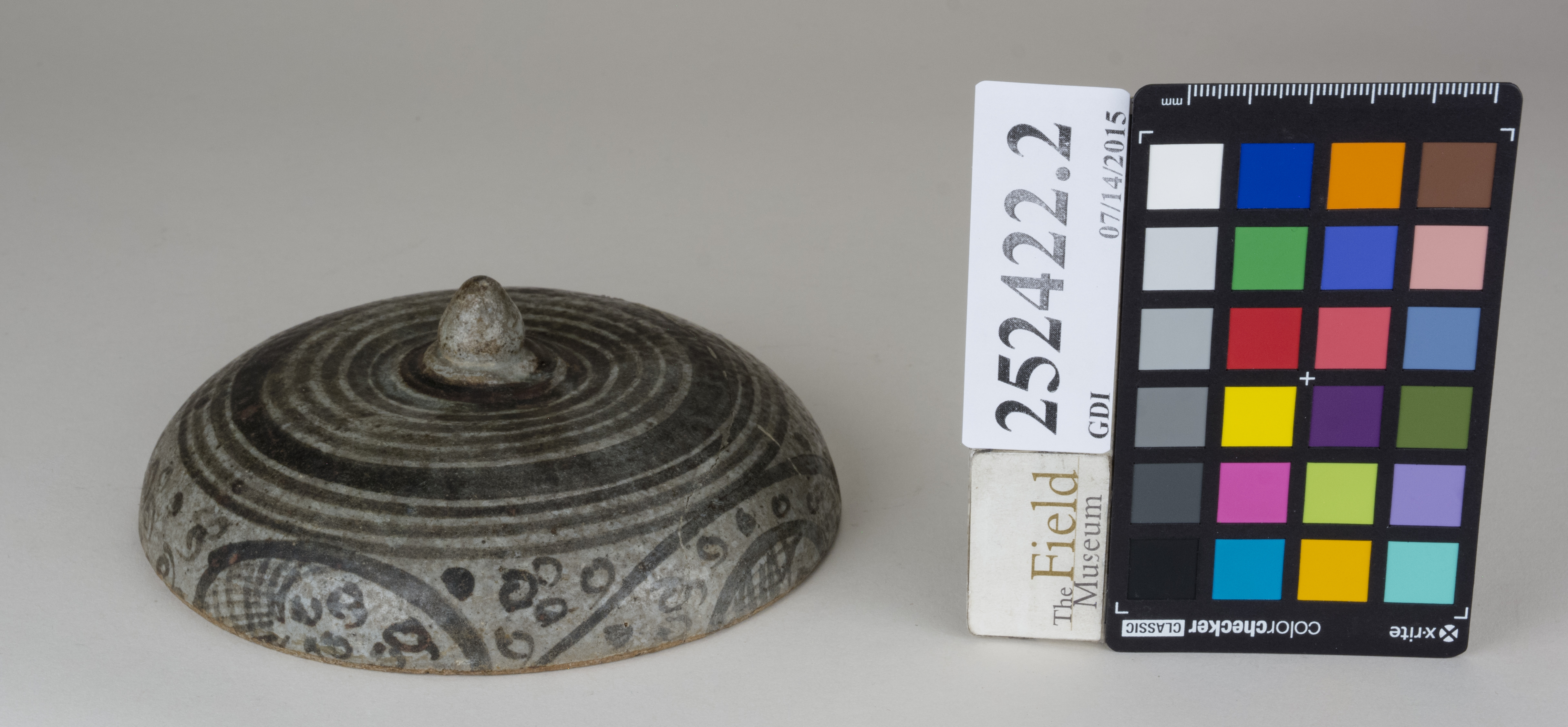 FrontAngle (c) Field Museum of Natural History - CC BY-NC 4.0