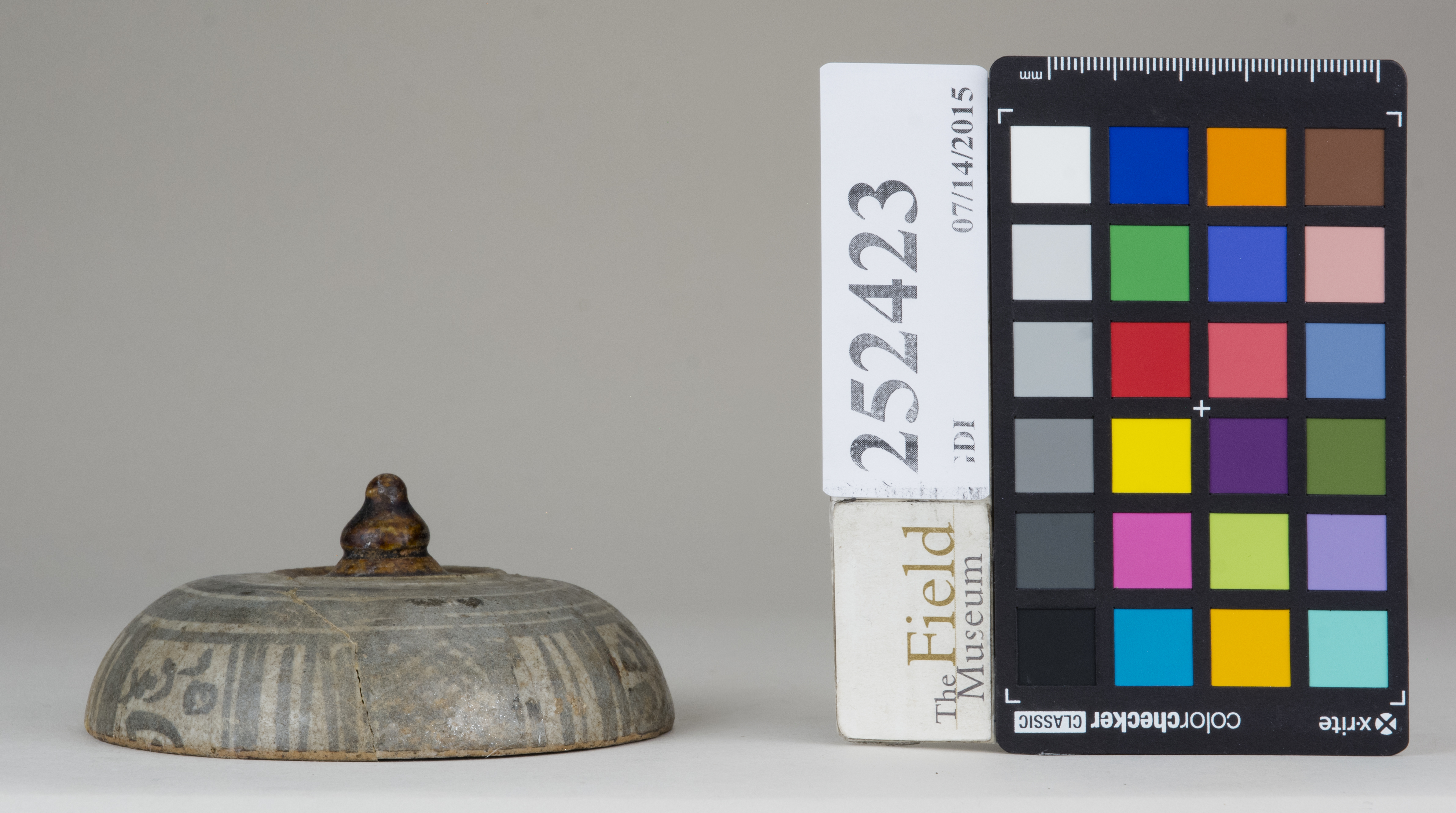 reference image, back (c) Field Museum of Natural History - CC BY-NC 4.0