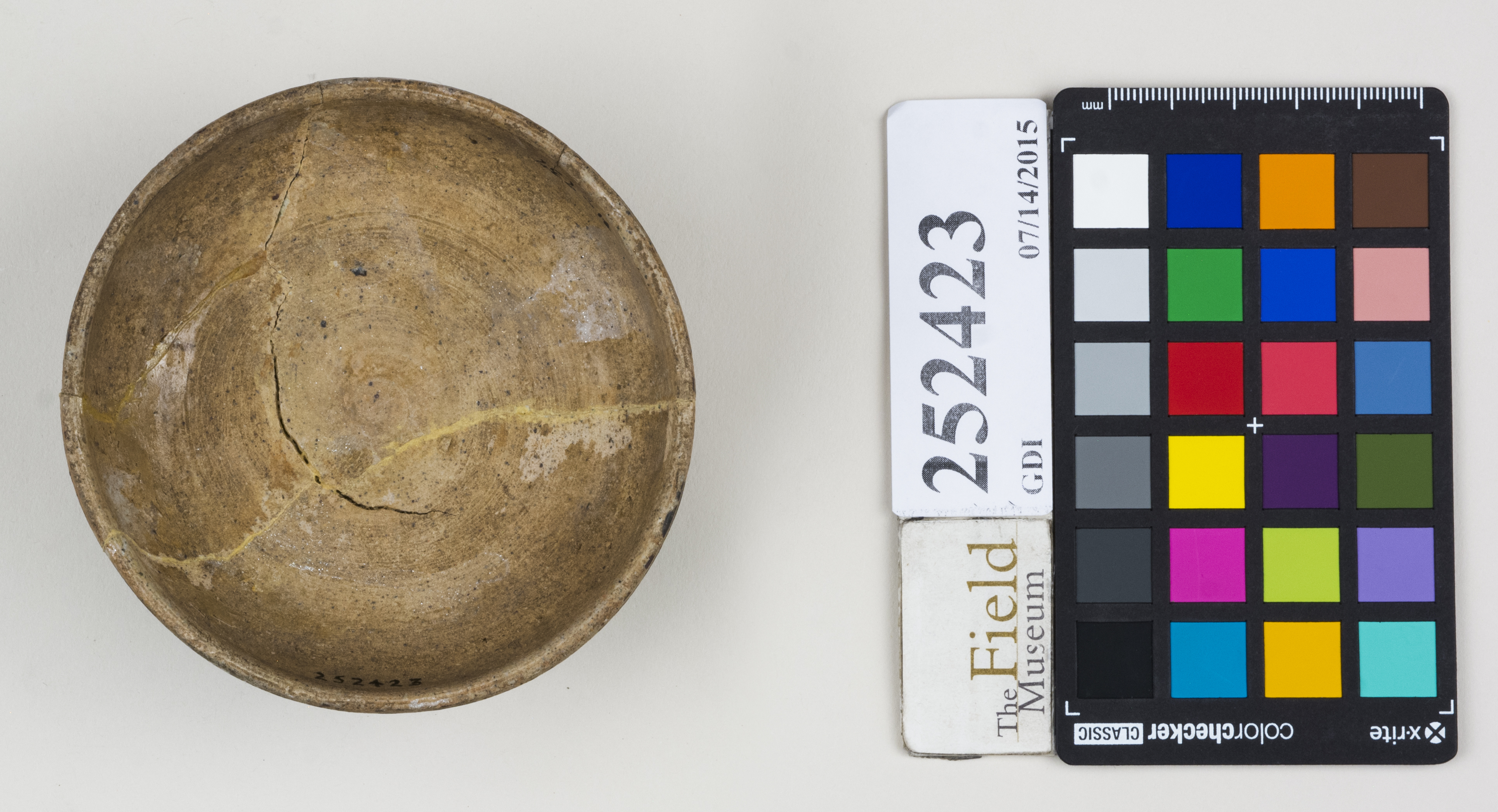 Bottom (c) Field Museum of Natural History - CC BY-NC 4.0