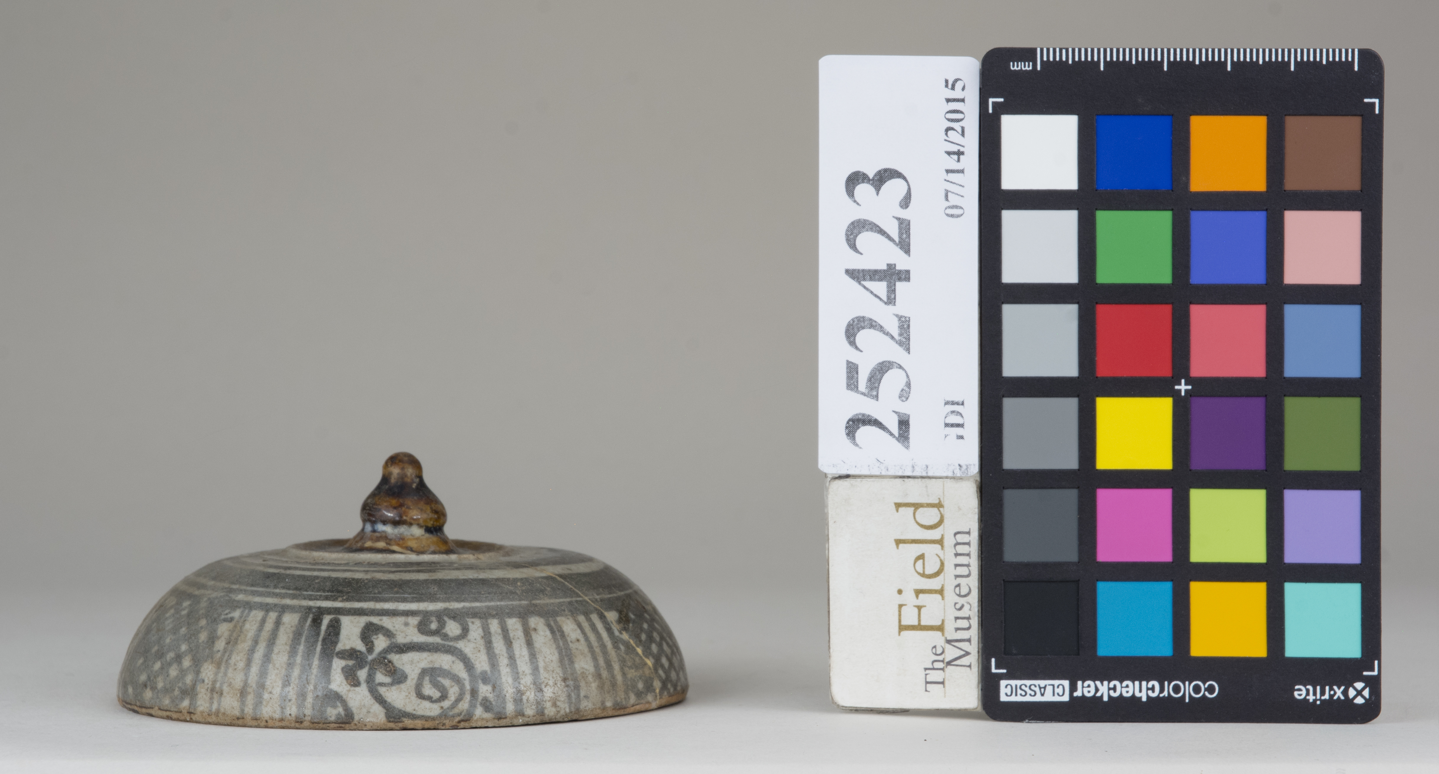 Front (c) Field Museum of Natural History - CC BY-NC 4.0