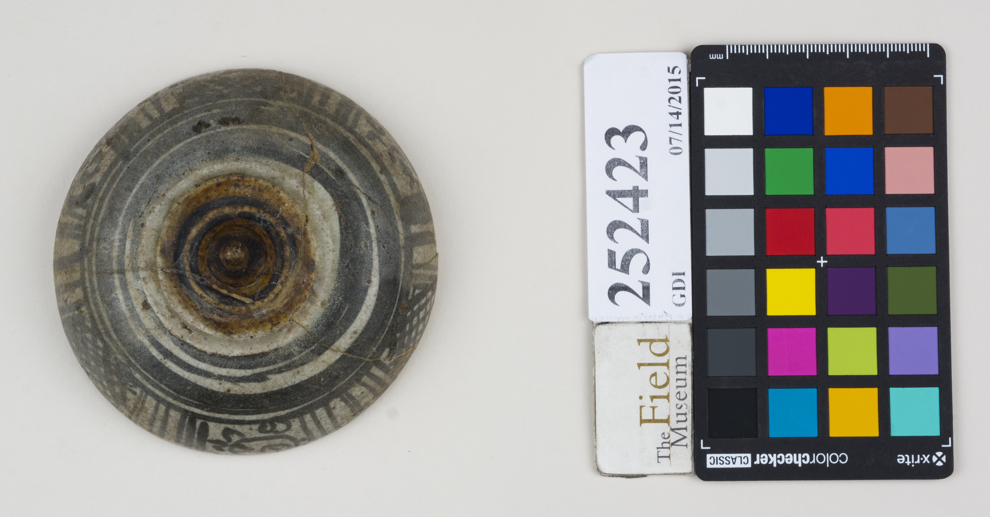 Top (c) Field Museum of Natural History - CC BY-NC 4.0