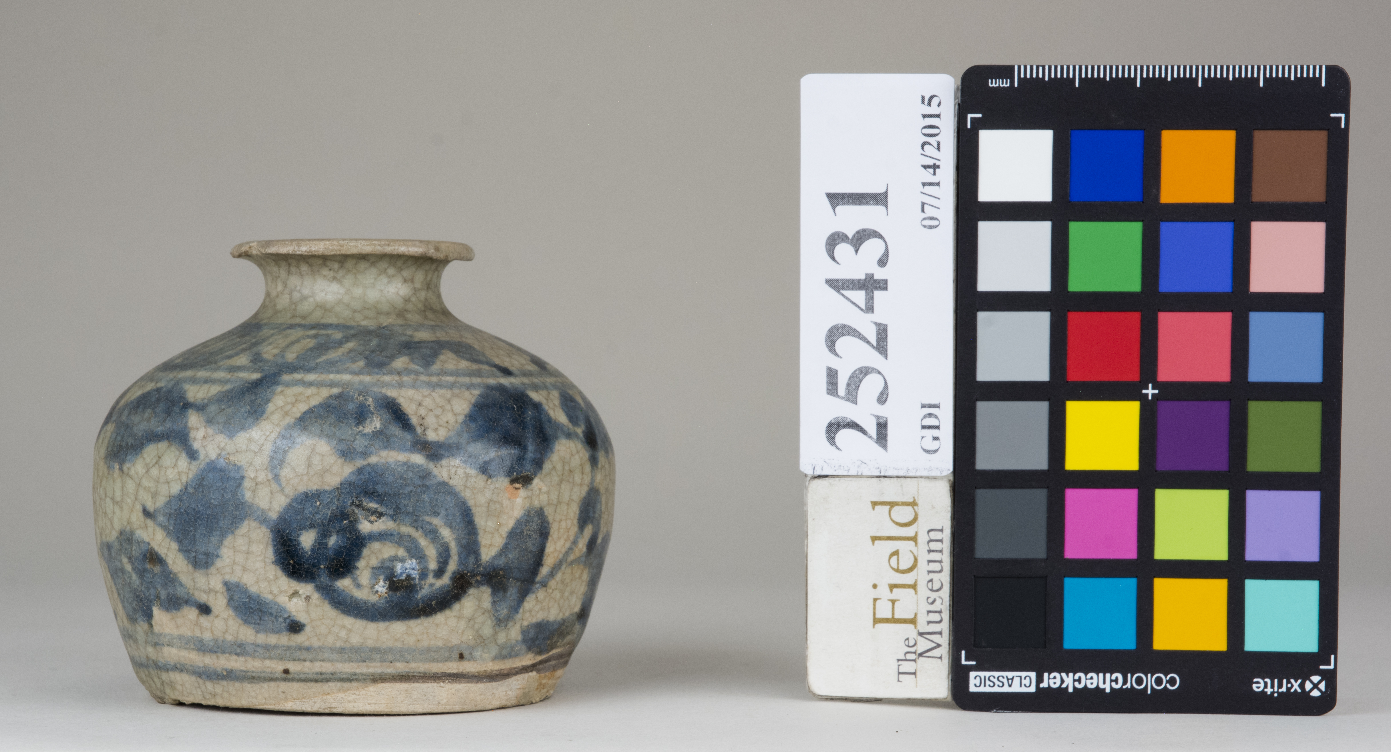 Front (c) Field Museum of Natural History - CC BY-NC 4.0