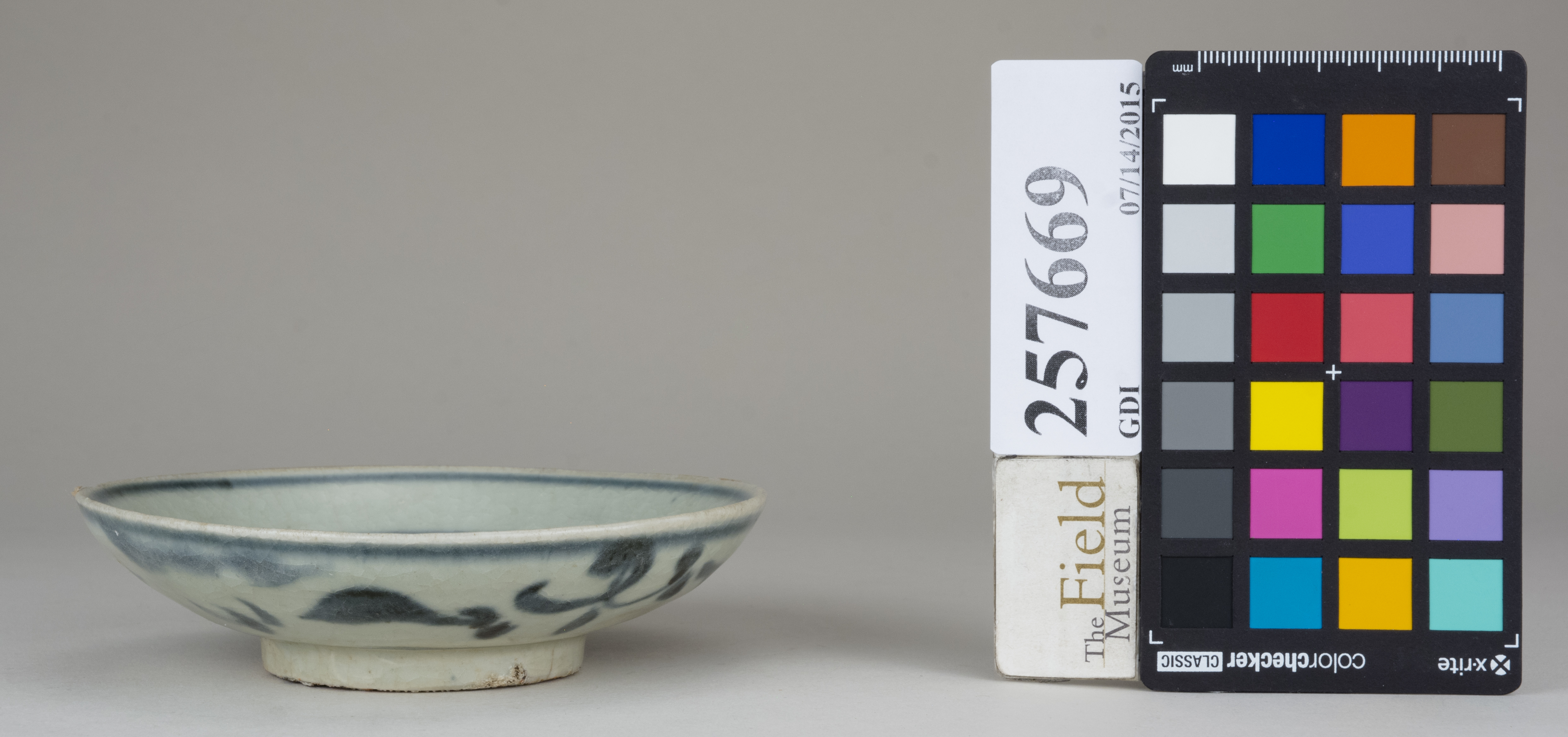 reference image, back (c) Field Museum of Natural History - CC BY-NC 4.0