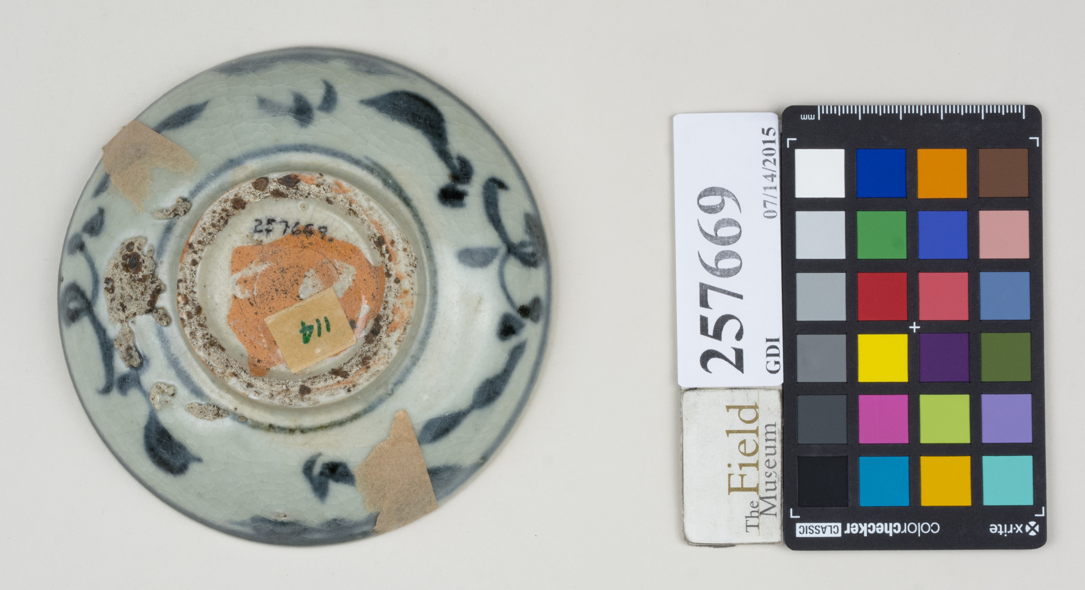 Bottom (c) Field Museum of Natural History - CC BY-NC 4.0