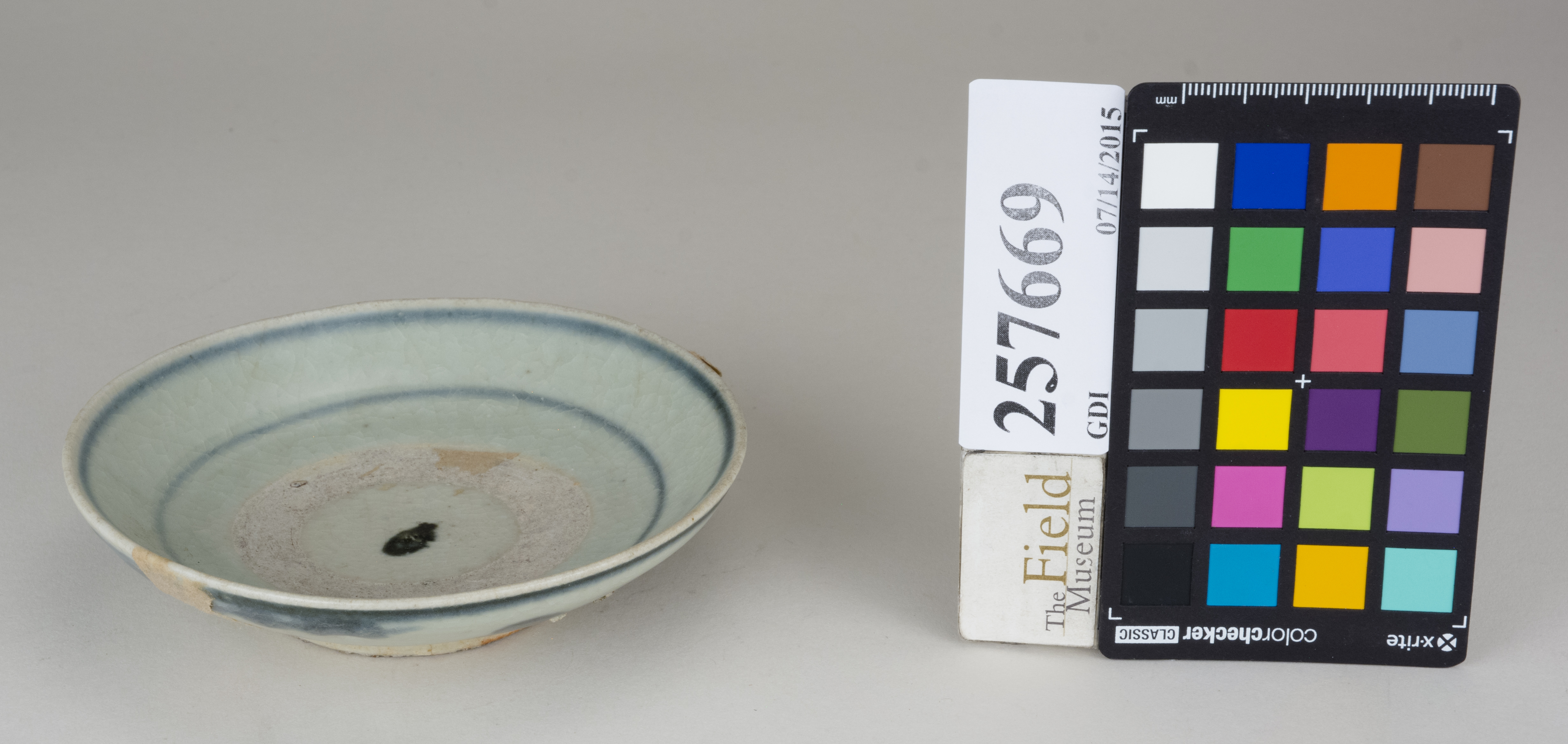 FrontAngle (c) Field Museum of Natural History - CC BY-NC 4.0