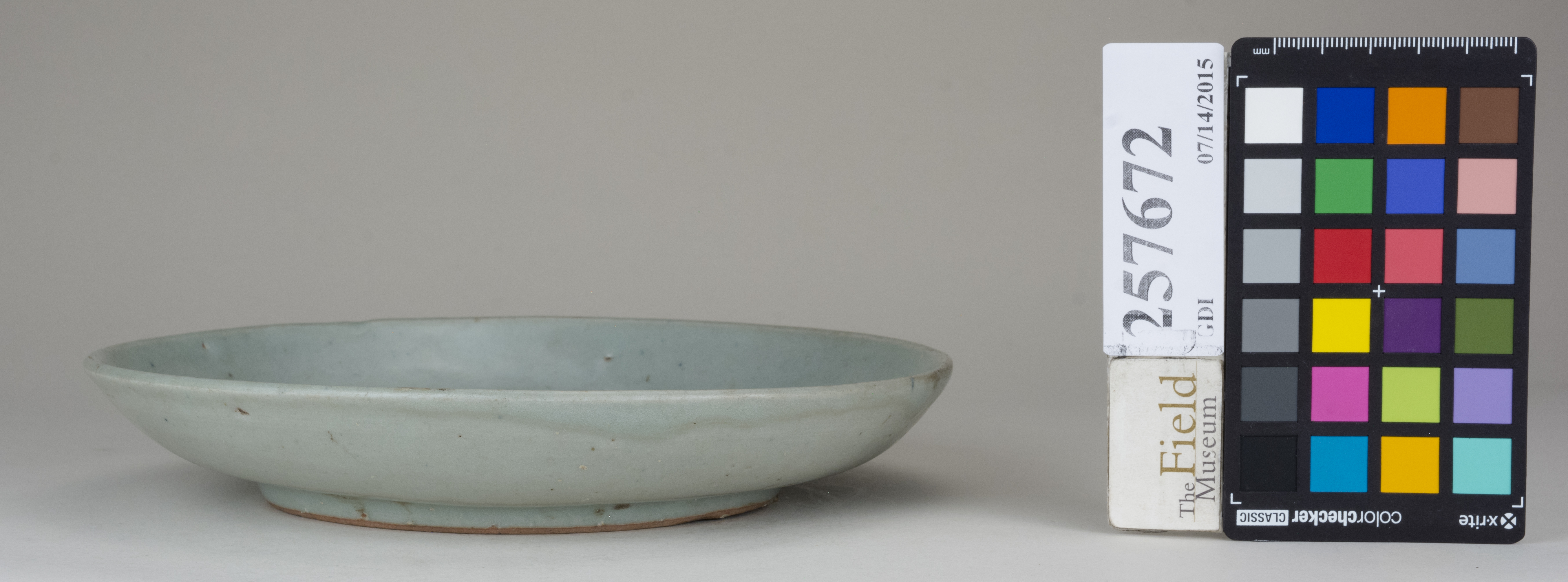 reference image, back (c) Field Museum of Natural History - CC BY-NC 4.0