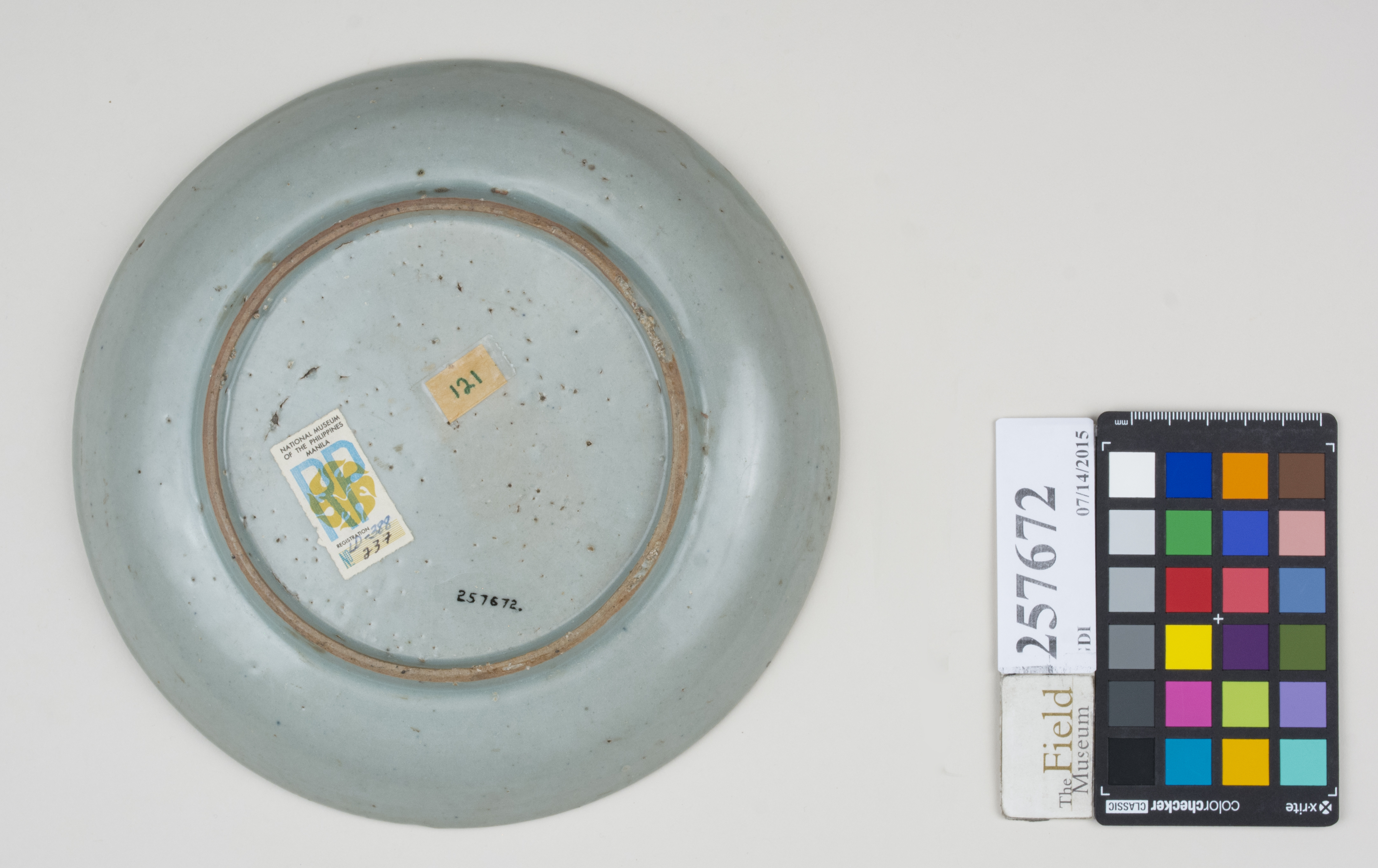 Bottom (c) Field Museum of Natural History - CC BY-NC 4.0