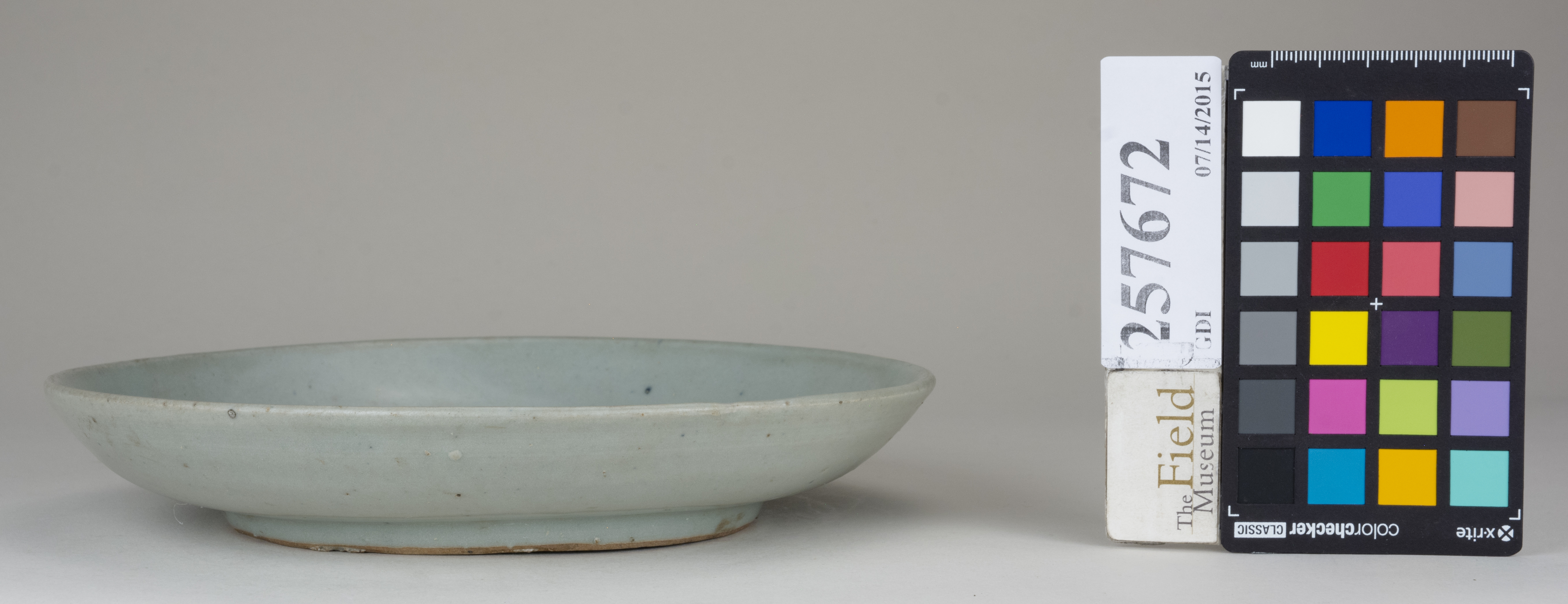 Front (c) Field Museum of Natural History - CC BY-NC 4.0