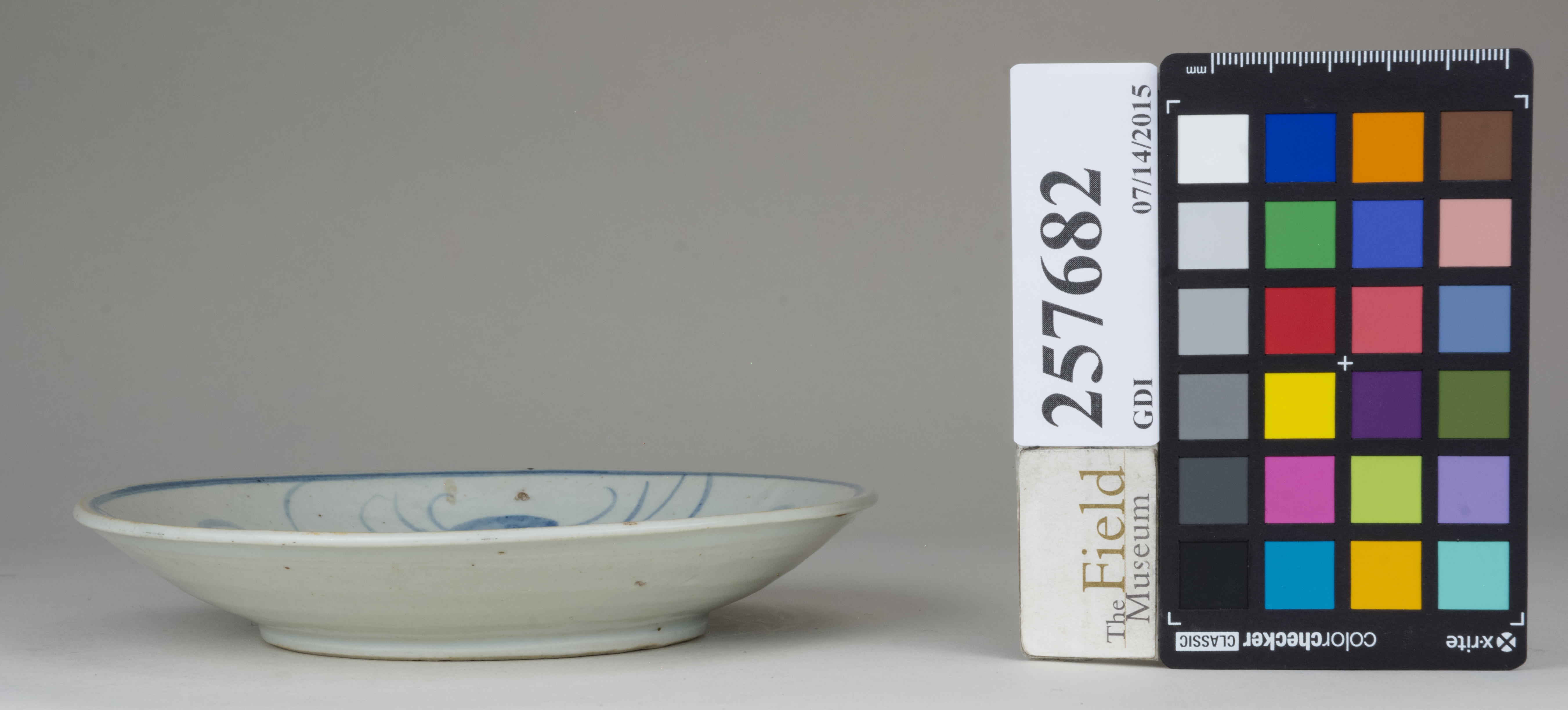 reference image, back (c) Field Museum of Natural History - CC BY-NC 4.0