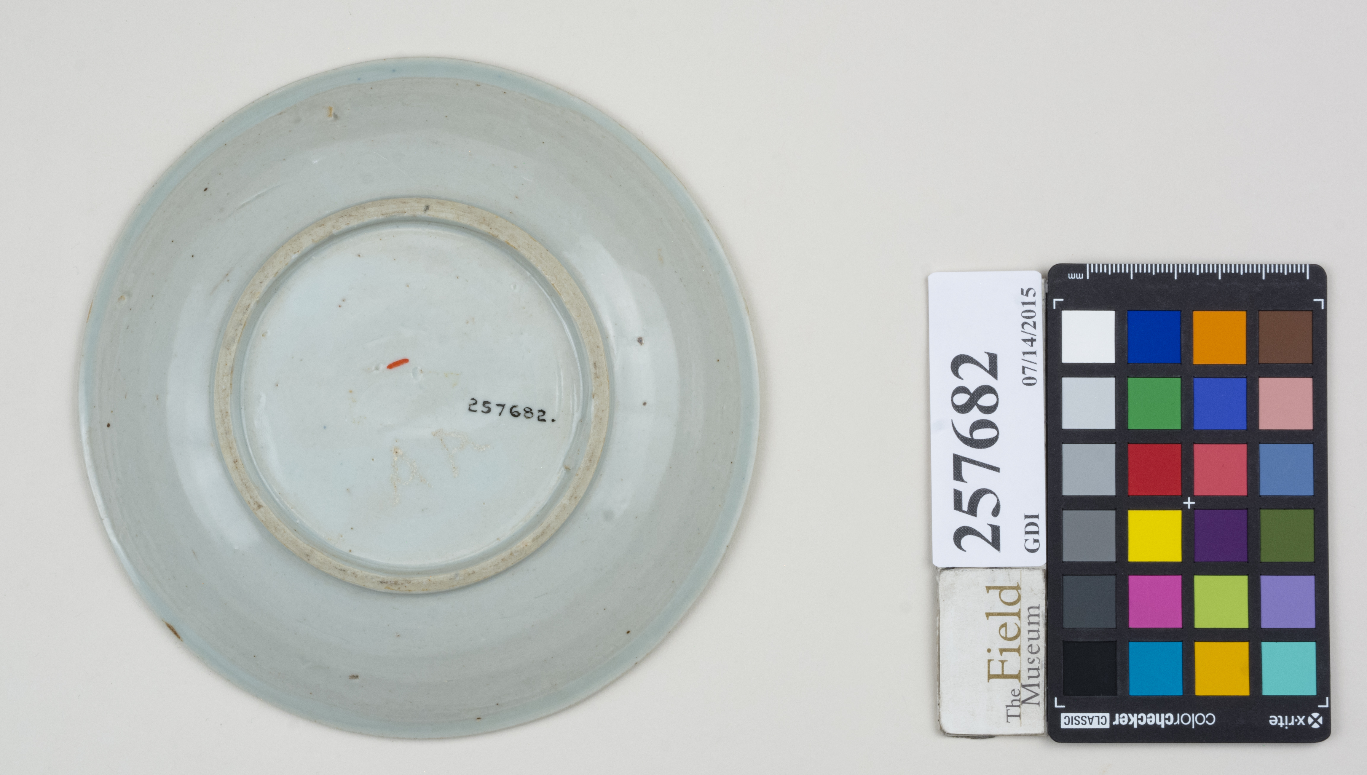 Bottom (c) Field Museum of Natural History - CC BY-NC 4.0