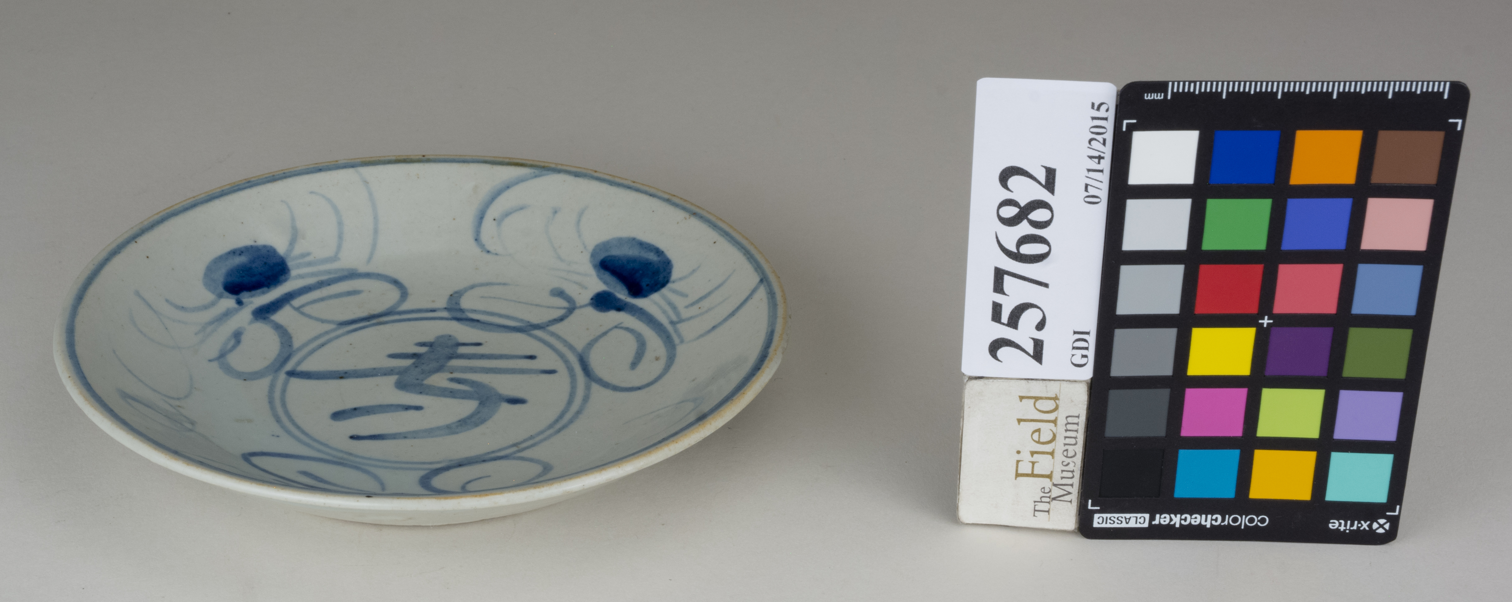 FrontAngle (c) Field Museum of Natural History - CC BY-NC 4.0