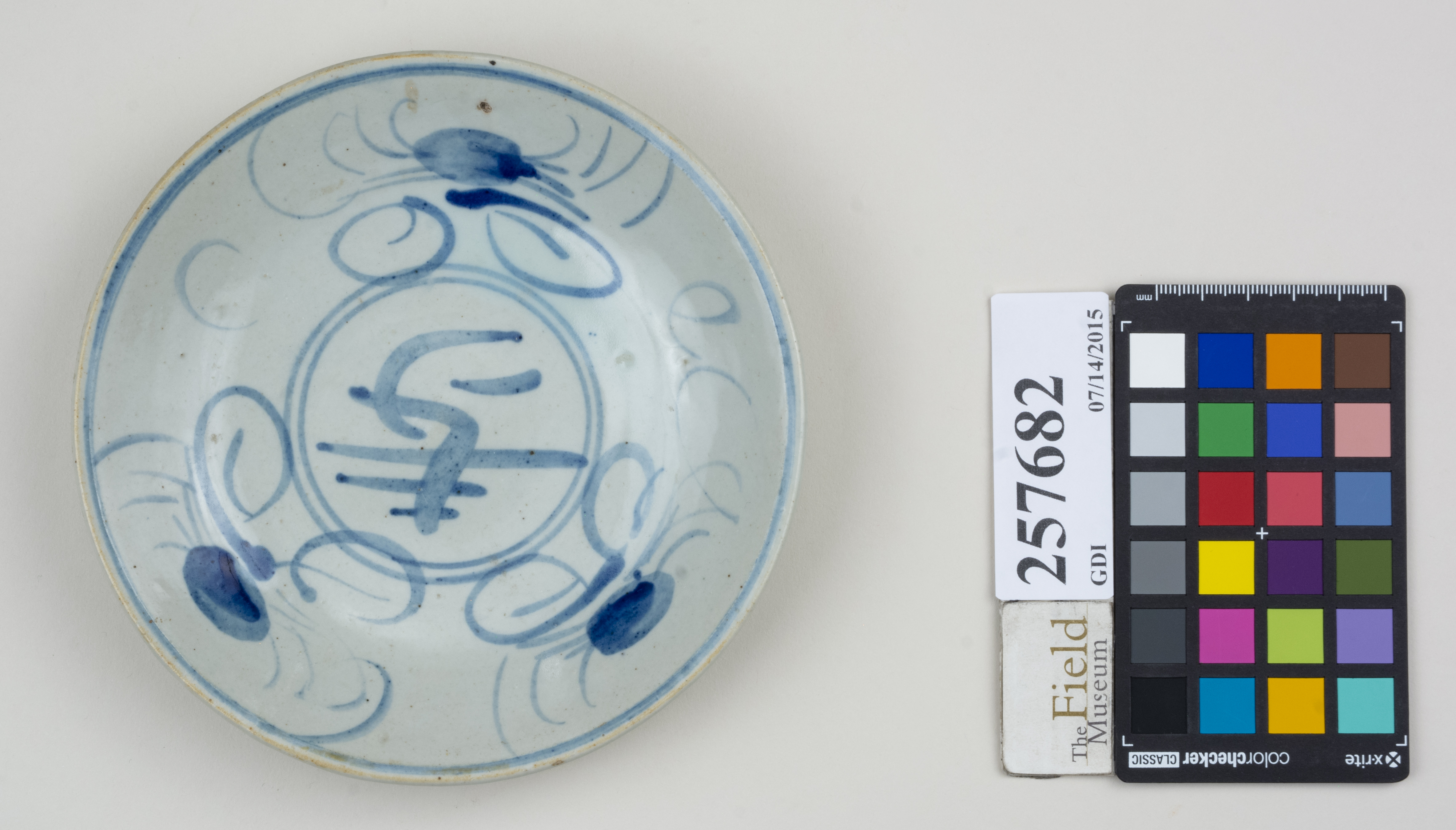 Top (c) Field Museum of Natural History - CC BY-NC 4.0