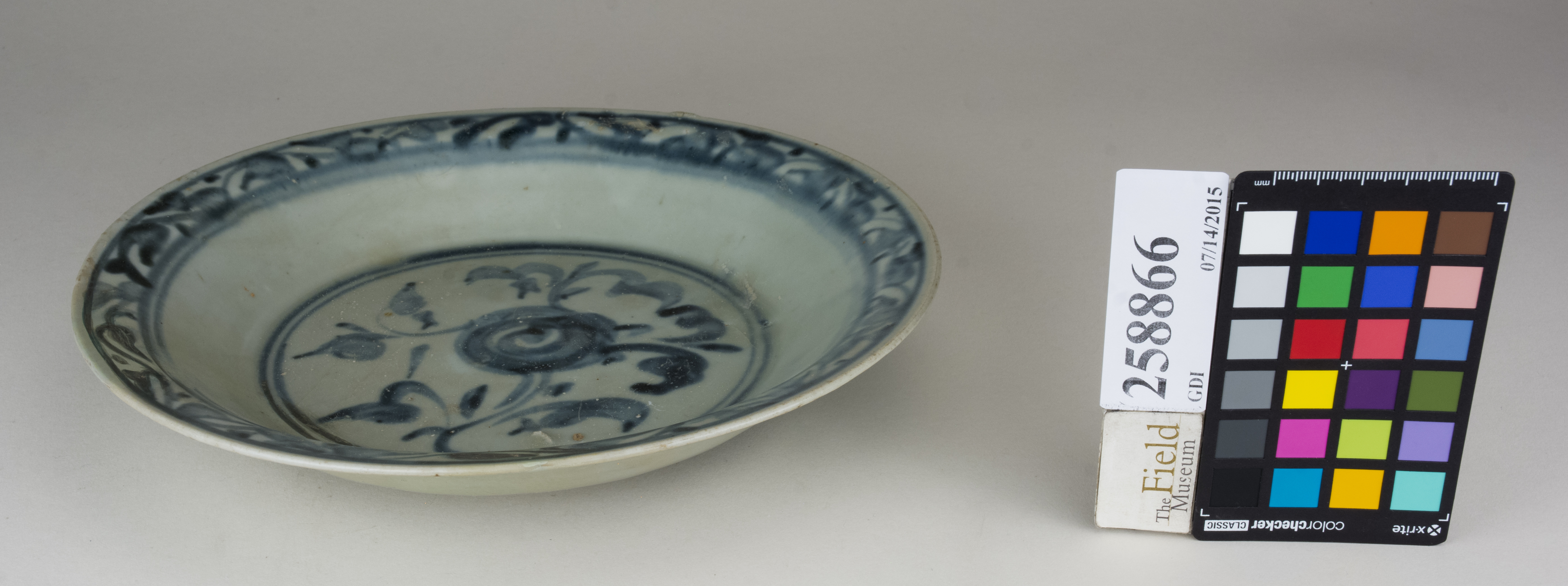 FrontAngle (c) Field Museum of Natural History - CC BY-NC 4.0