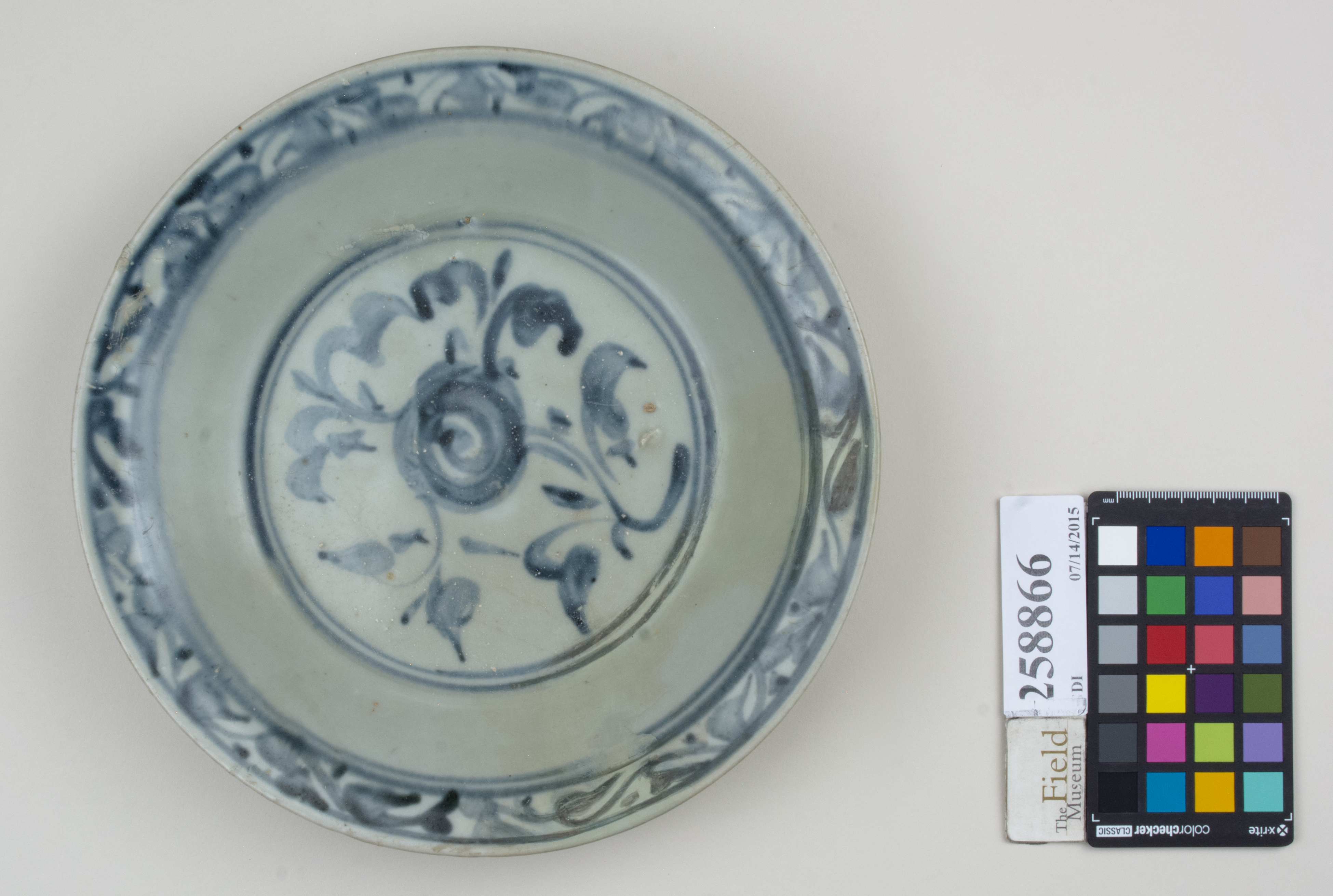 Top (c) Field Museum of Natural History - CC BY-NC 4.0