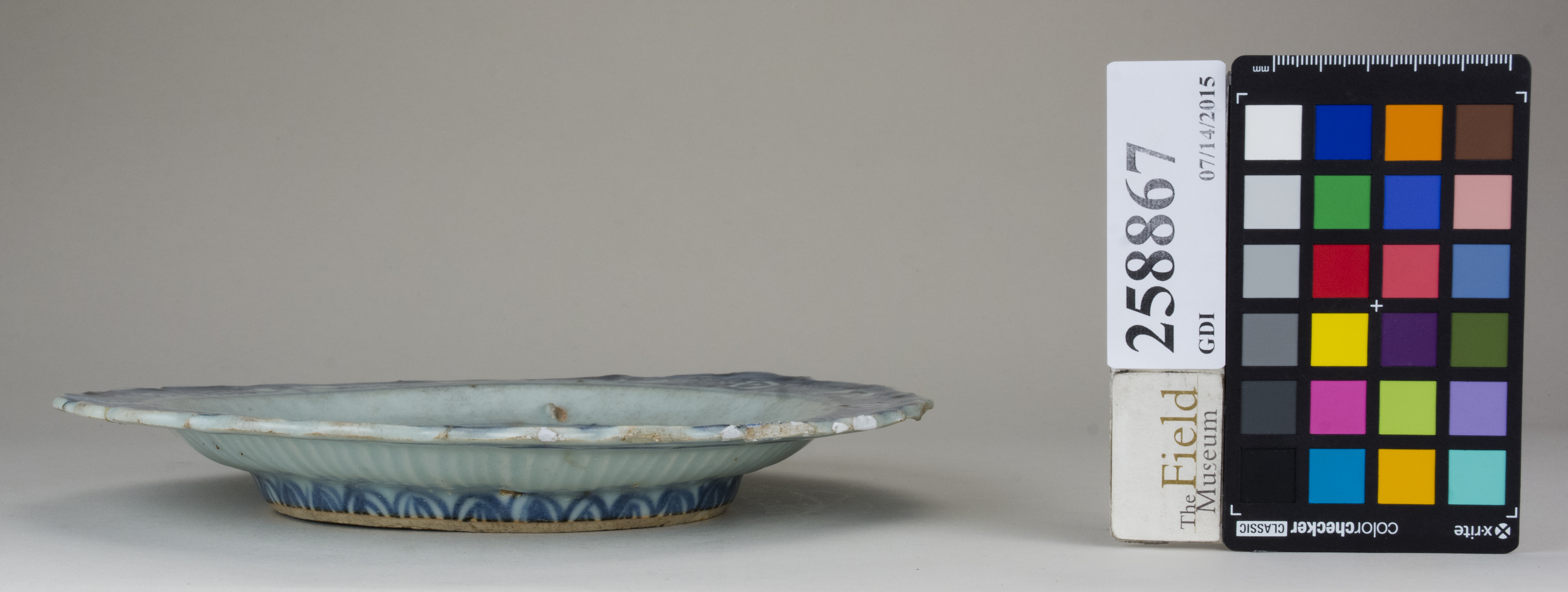 Front (c) Field Museum of Natural History - CC BY-NC 4.0