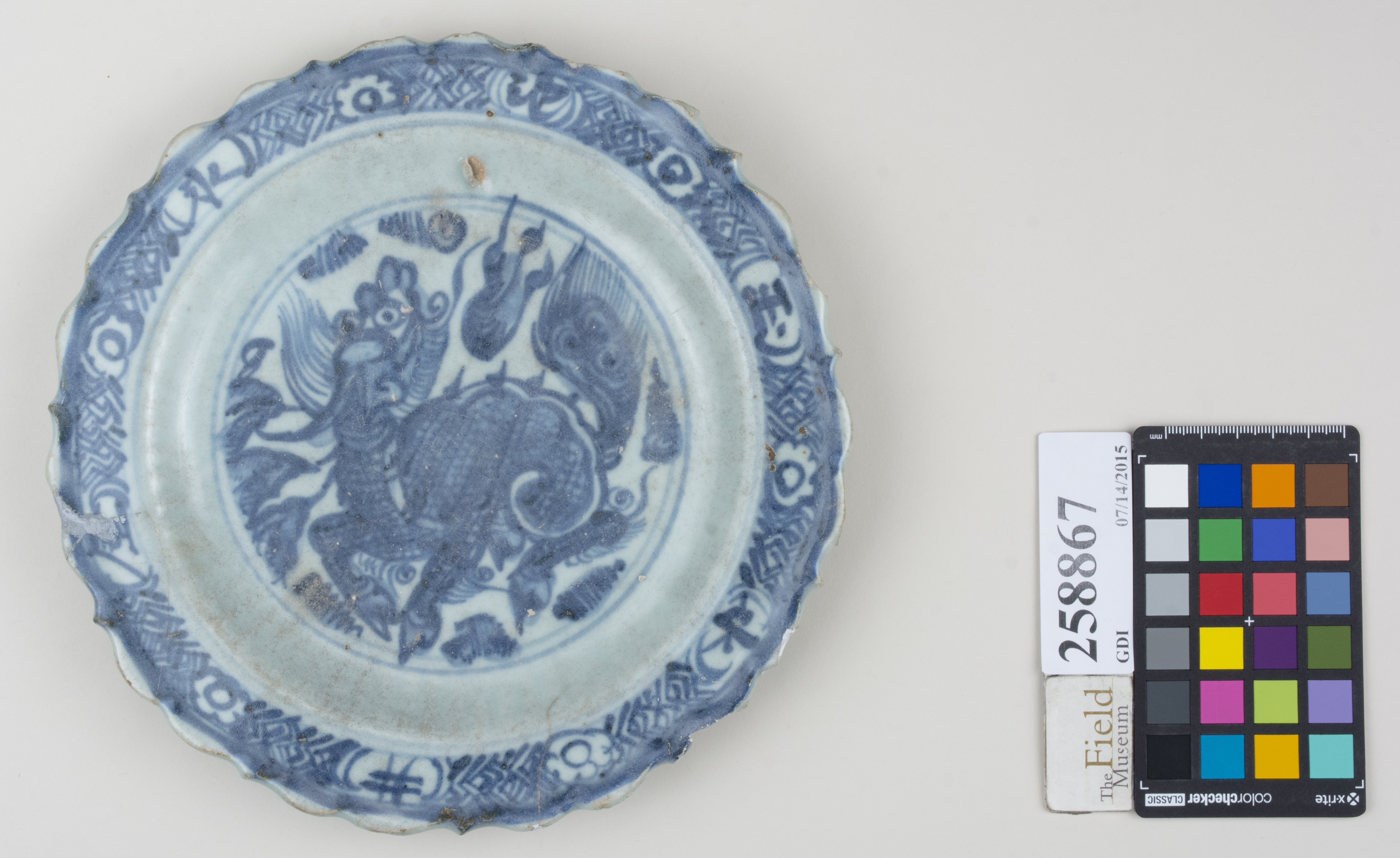 Top (c) Field Museum of Natural History - CC BY-NC 4.0