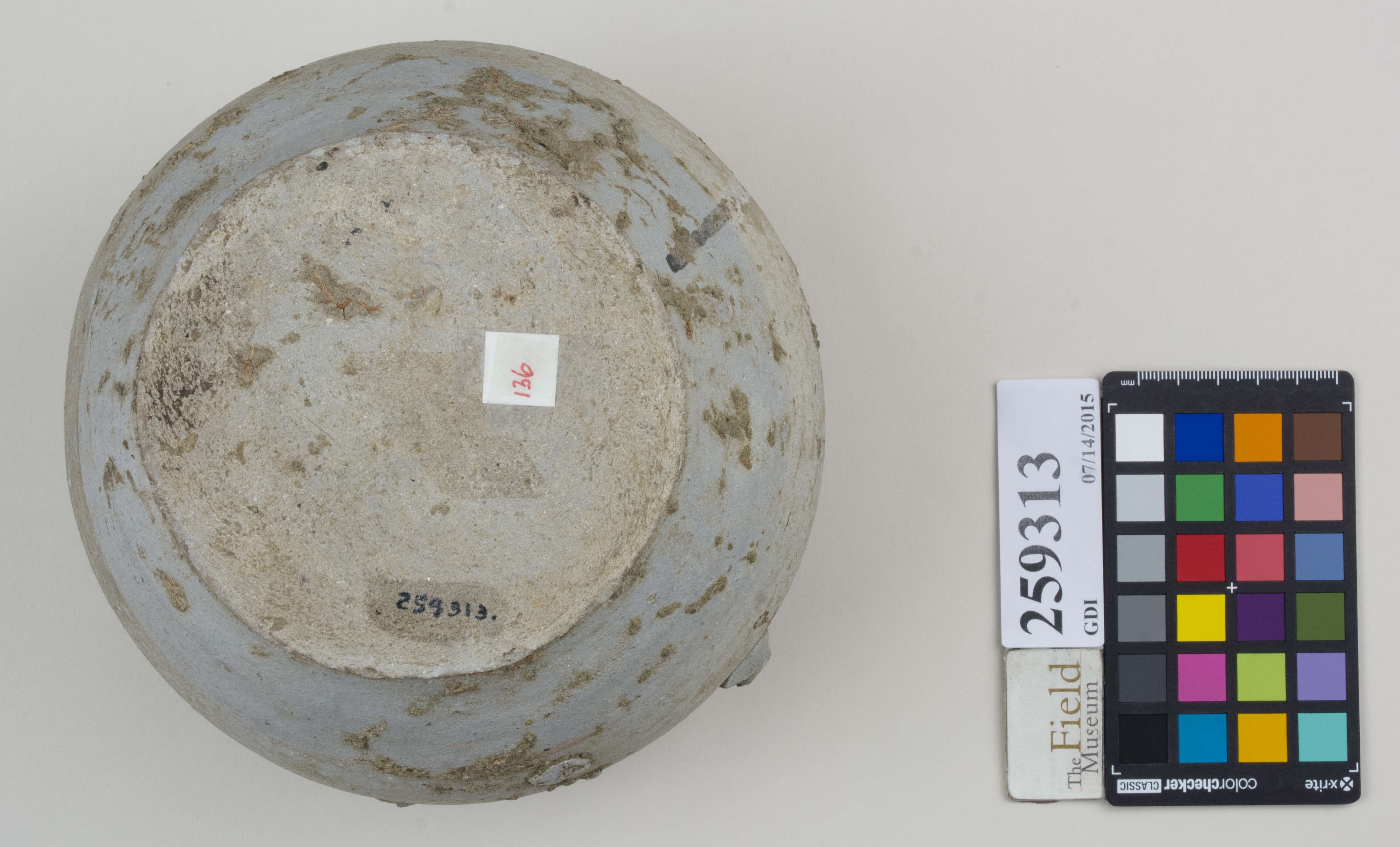 Bottom (c) Field Museum of Natural History - CC BY-NC 4.0