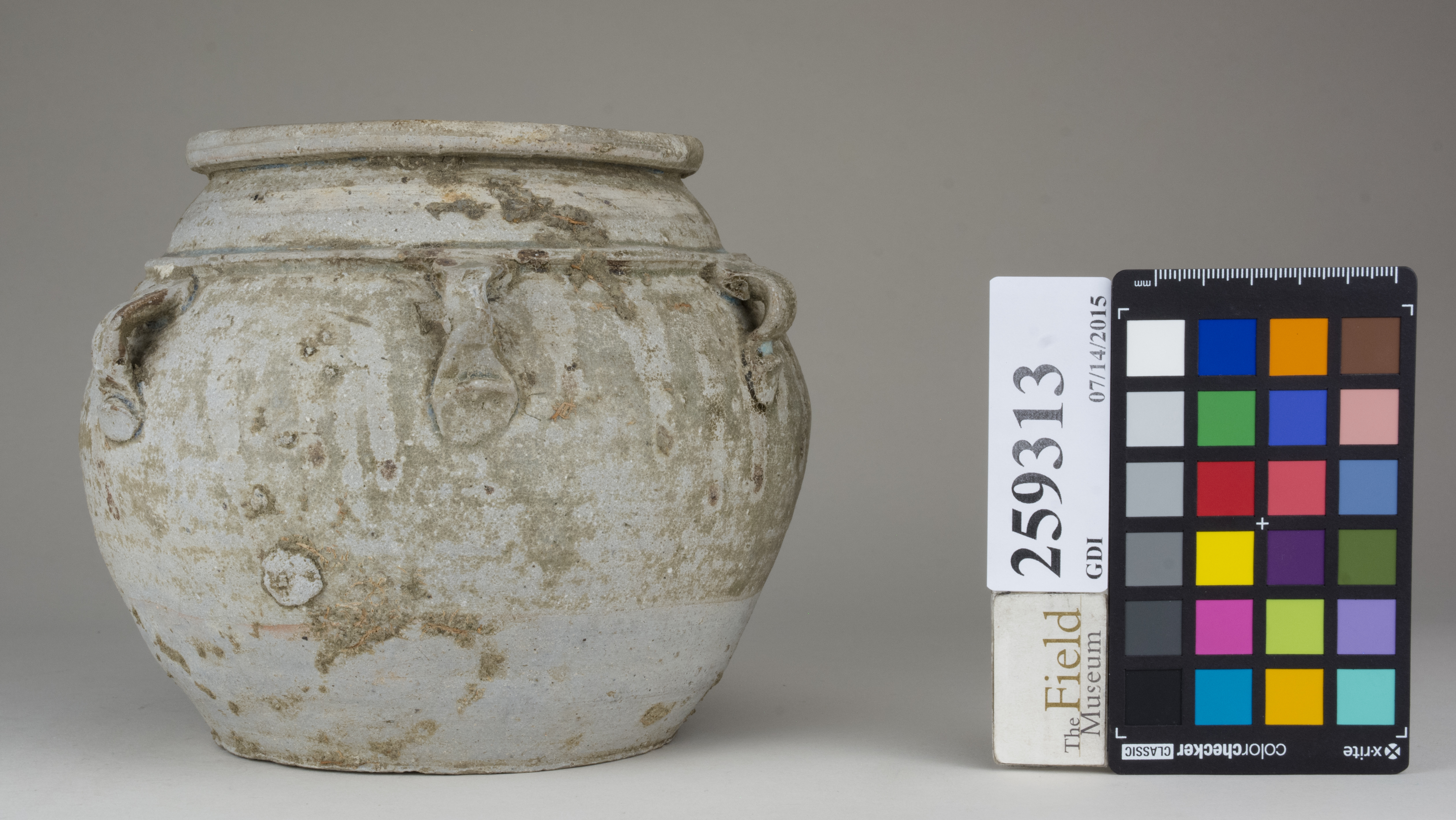 Front (c) Field Museum of Natural History - CC BY-NC 4.0