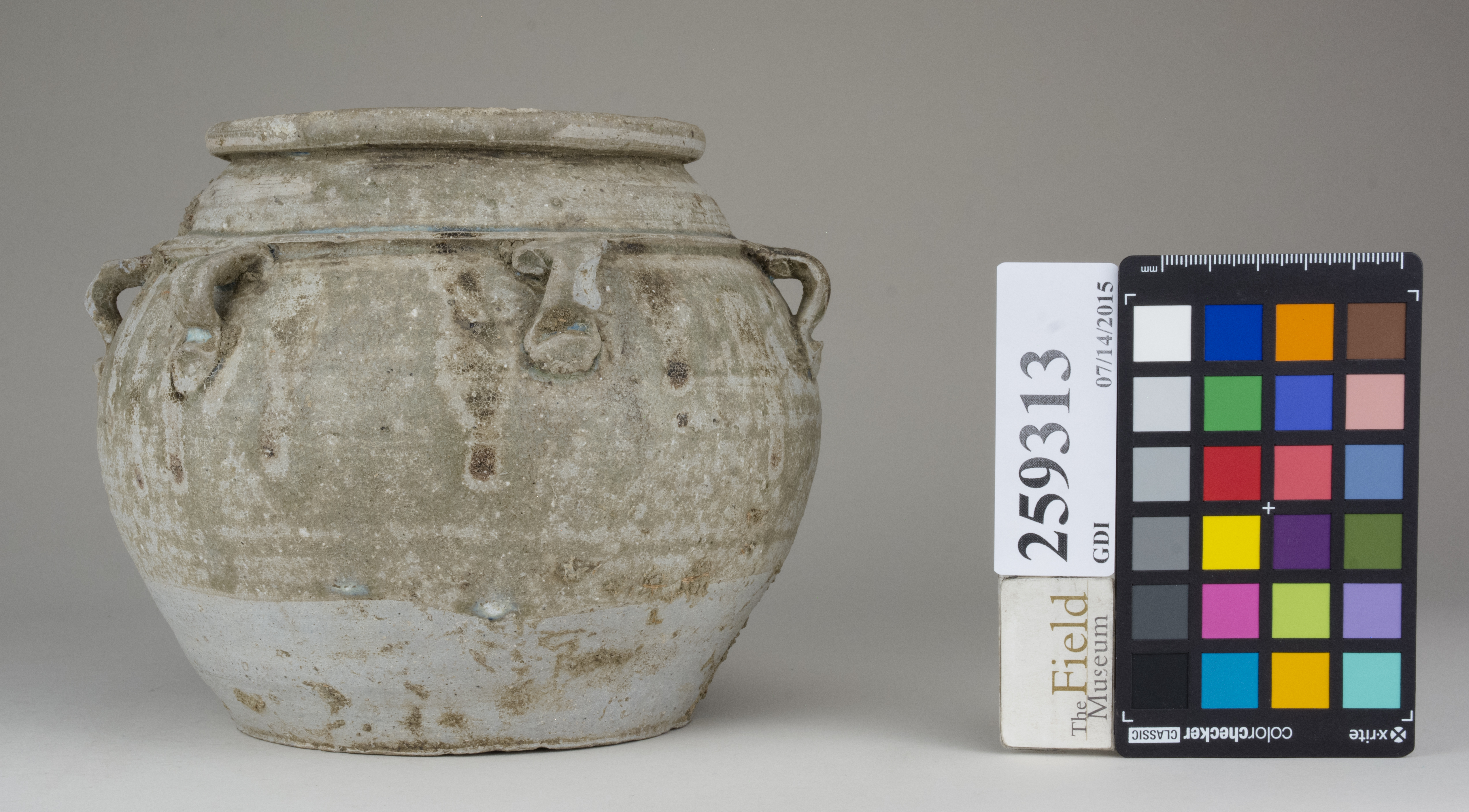 Left (c) Field Museum of Natural History - CC BY-NC 4.0