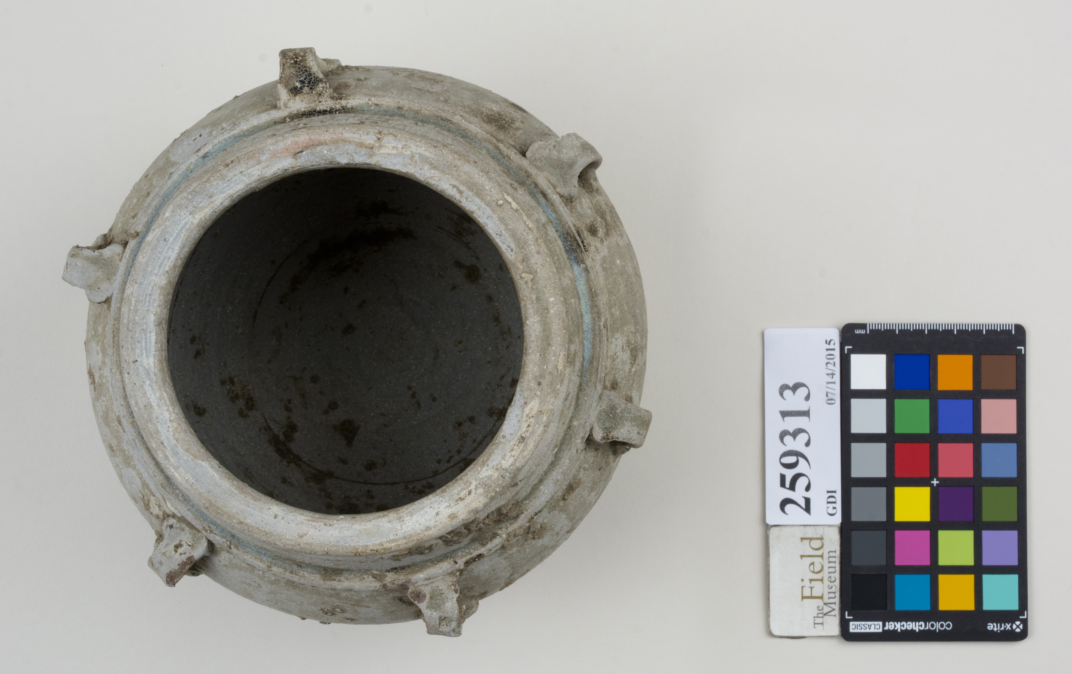 Top (c) Field Museum of Natural History - CC BY-NC 4.0