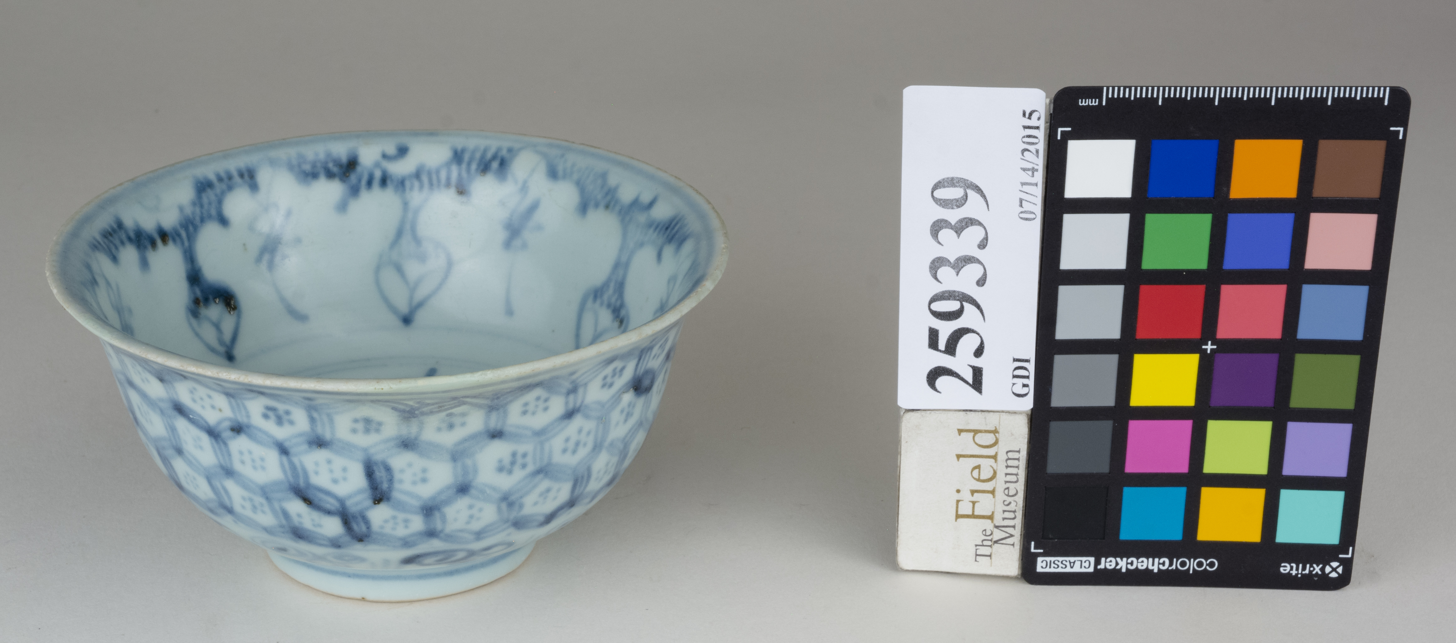 FrontAngle (c) Field Museum of Natural History - CC BY-NC 4.0