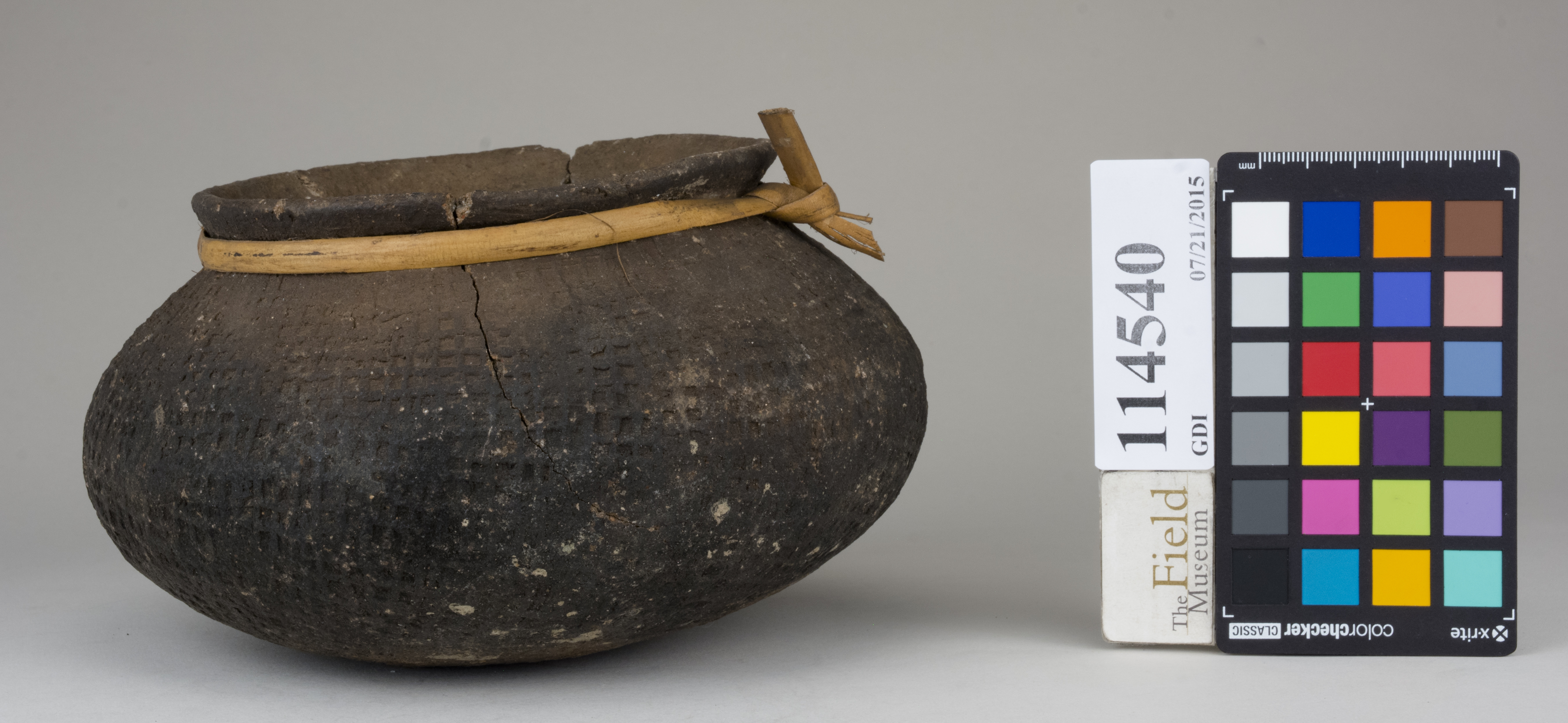 Right (c) Field Museum of Natural History - CC BY-NC 4.0