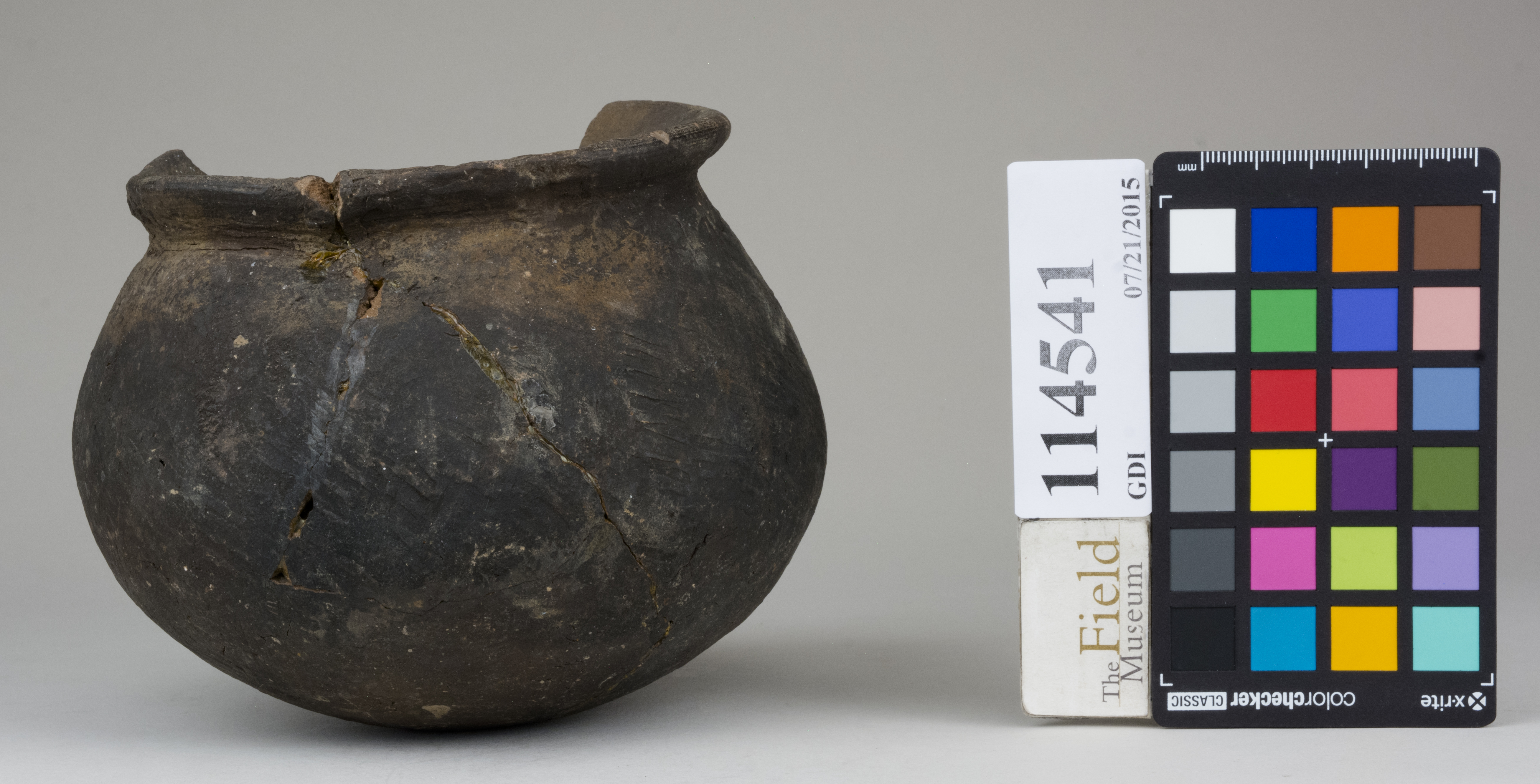 Front (c) Field Museum of Natural History - CC BY-NC 4.0