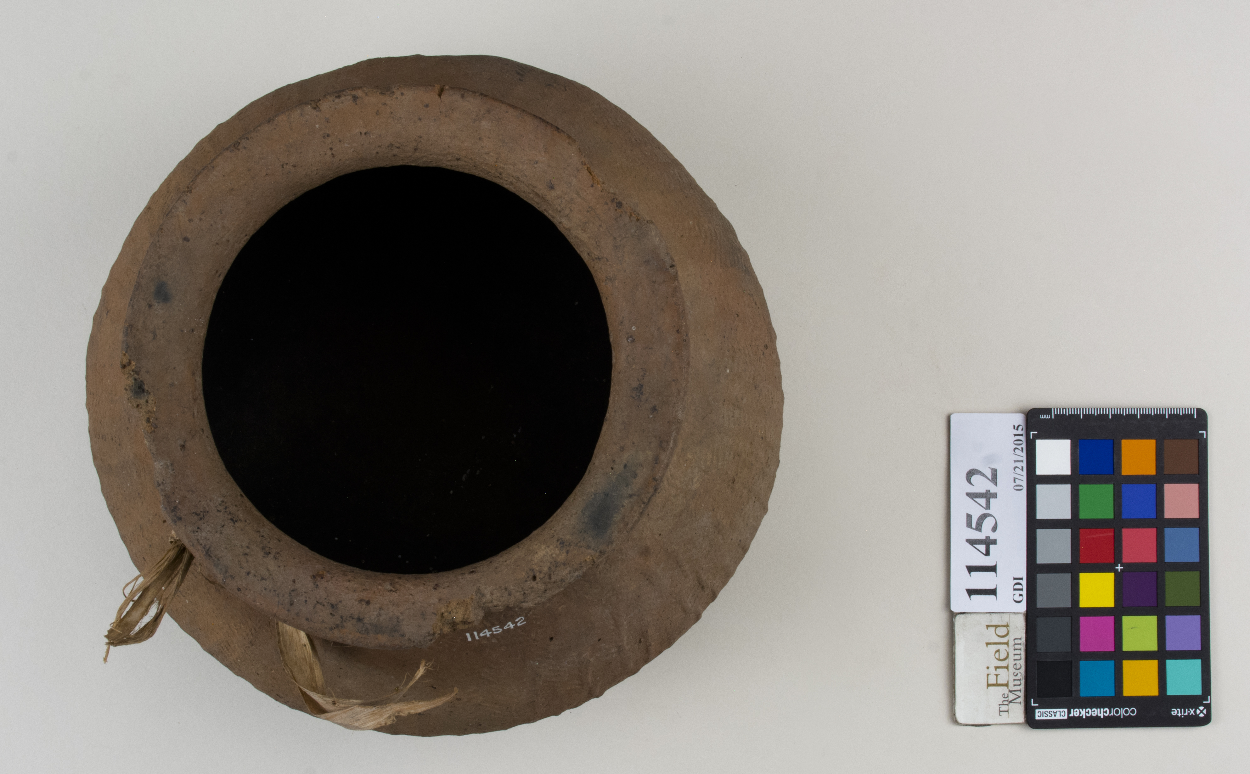 Top (c) Field Museum of Natural History - CC BY-NC 4.0