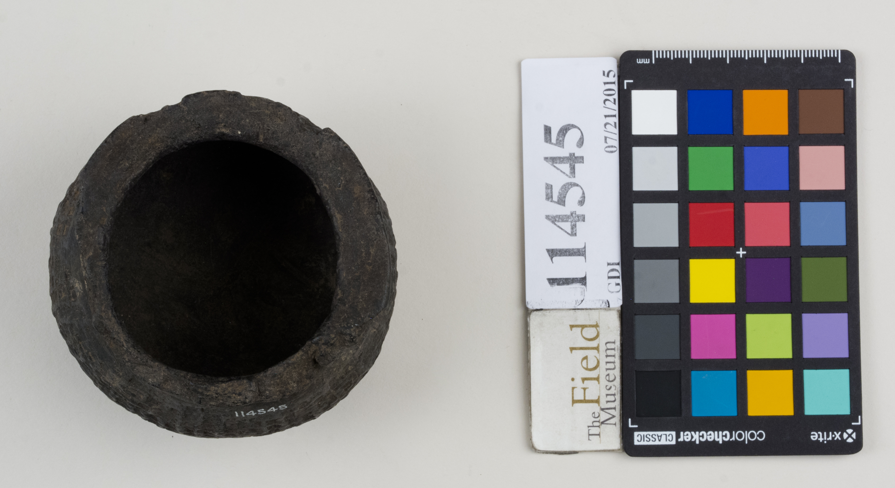 Top (c) Field Museum of Natural History - CC BY-NC 4.0