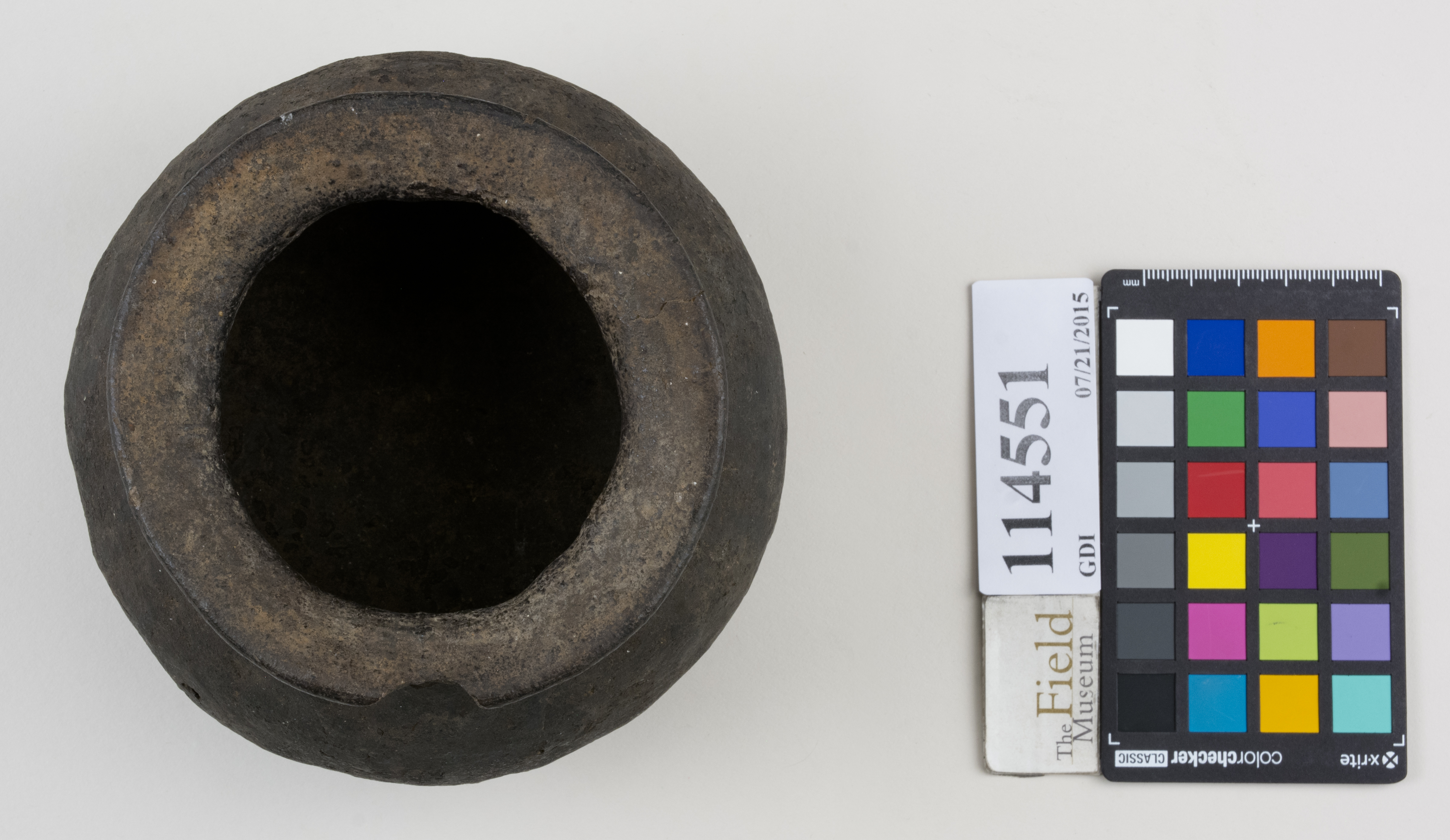 Top (c) Field Museum of Natural History - CC BY-NC 4.0