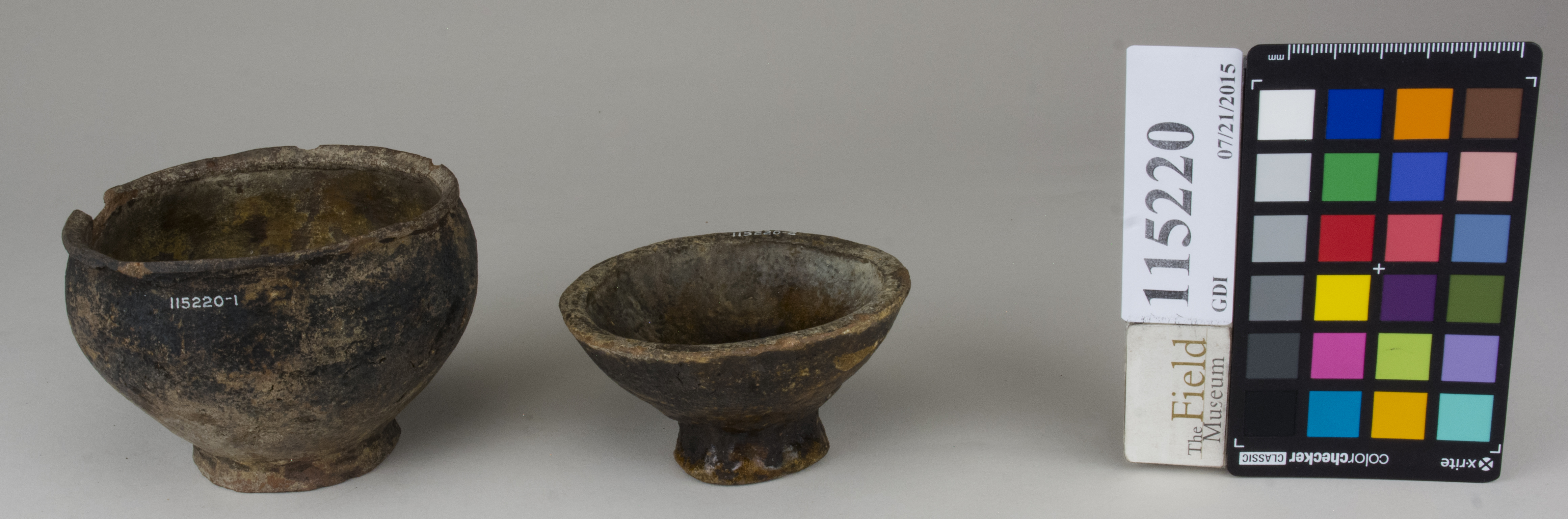 ParentFrontAngle (c) Field Museum of Natural History - CC BY-NC 4.0