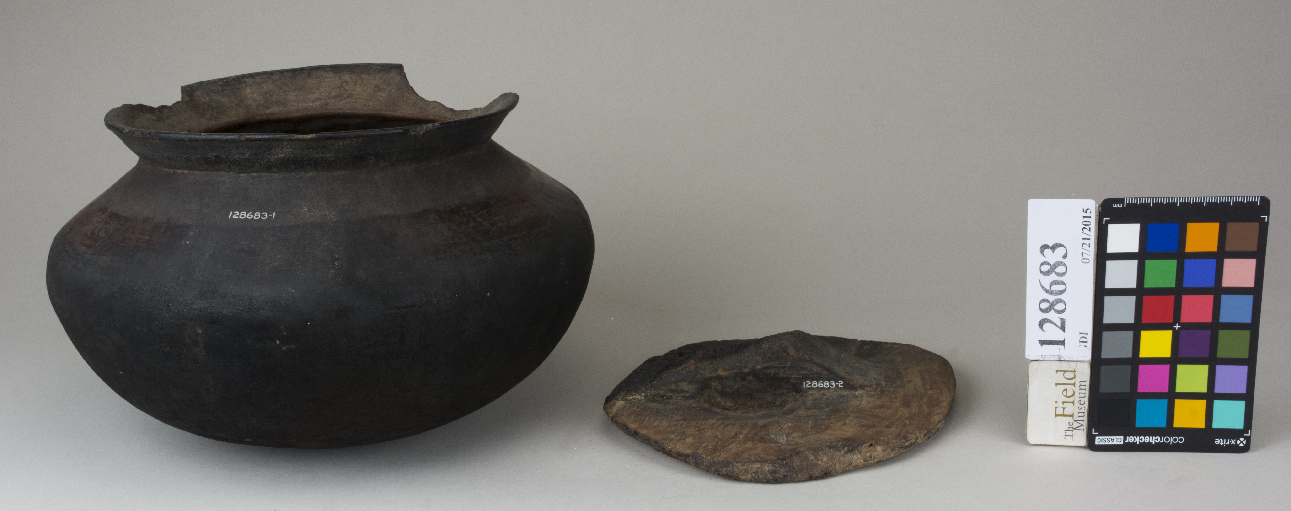 ParentFrontAngle (c) Field Museum of Natural History - CC BY-NC 4.0