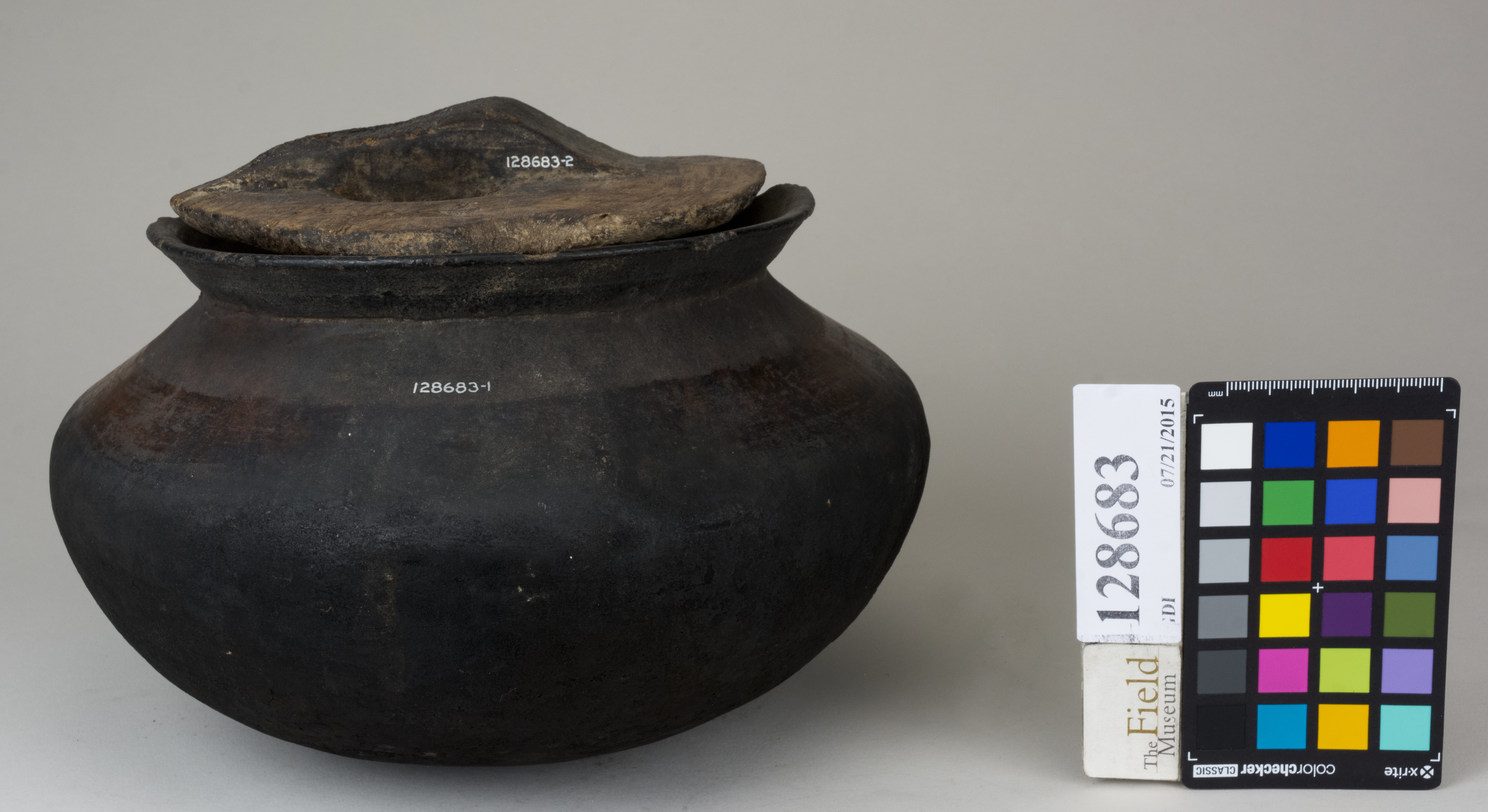 ParentFrontAngleTogether (c) Field Museum of Natural History - CC BY-NC 4.0