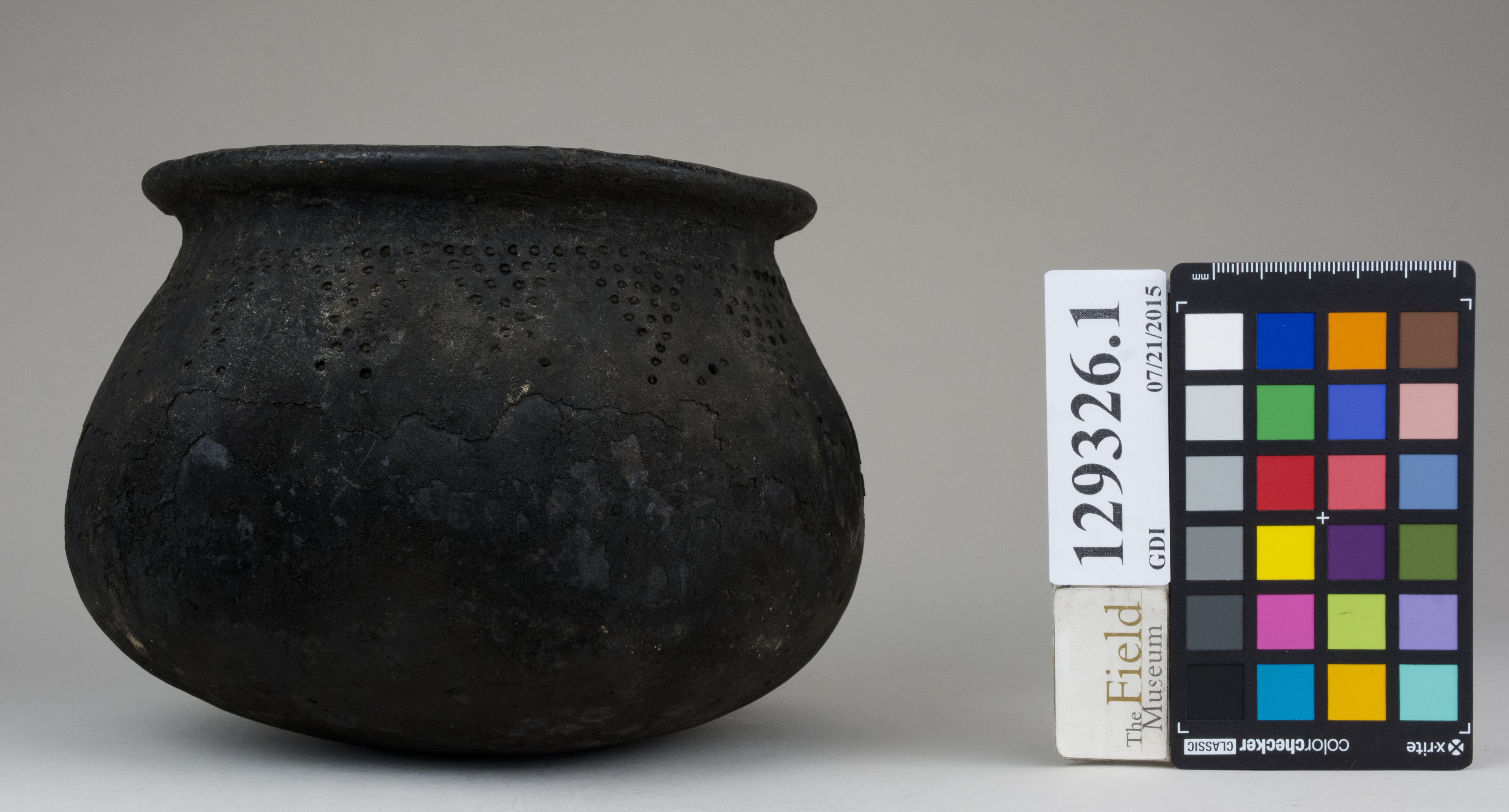 reference image, back (c) Field Museum of Natural History - CC BY-NC 4.0