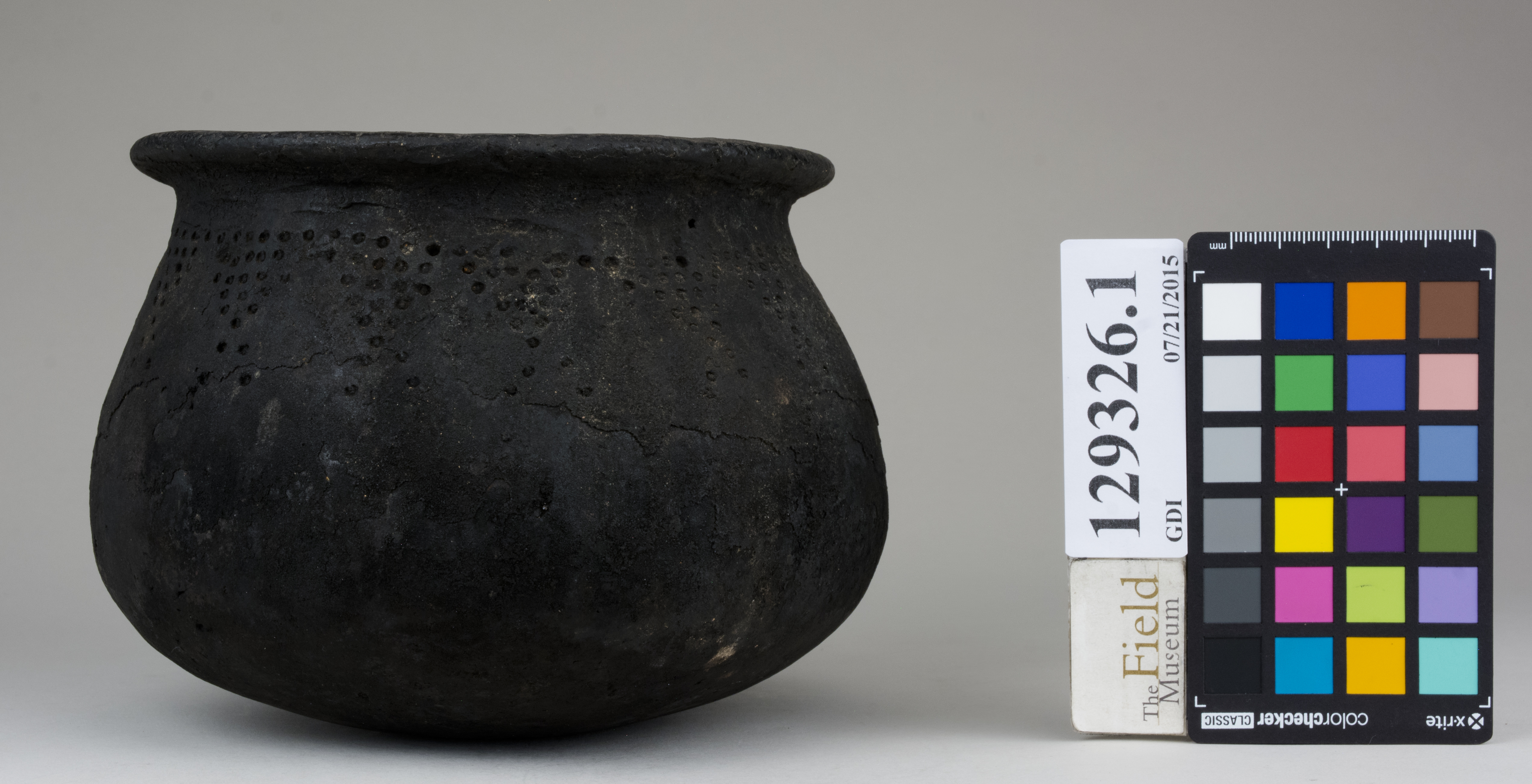 Left (c) Field Museum of Natural History - CC BY-NC 4.0