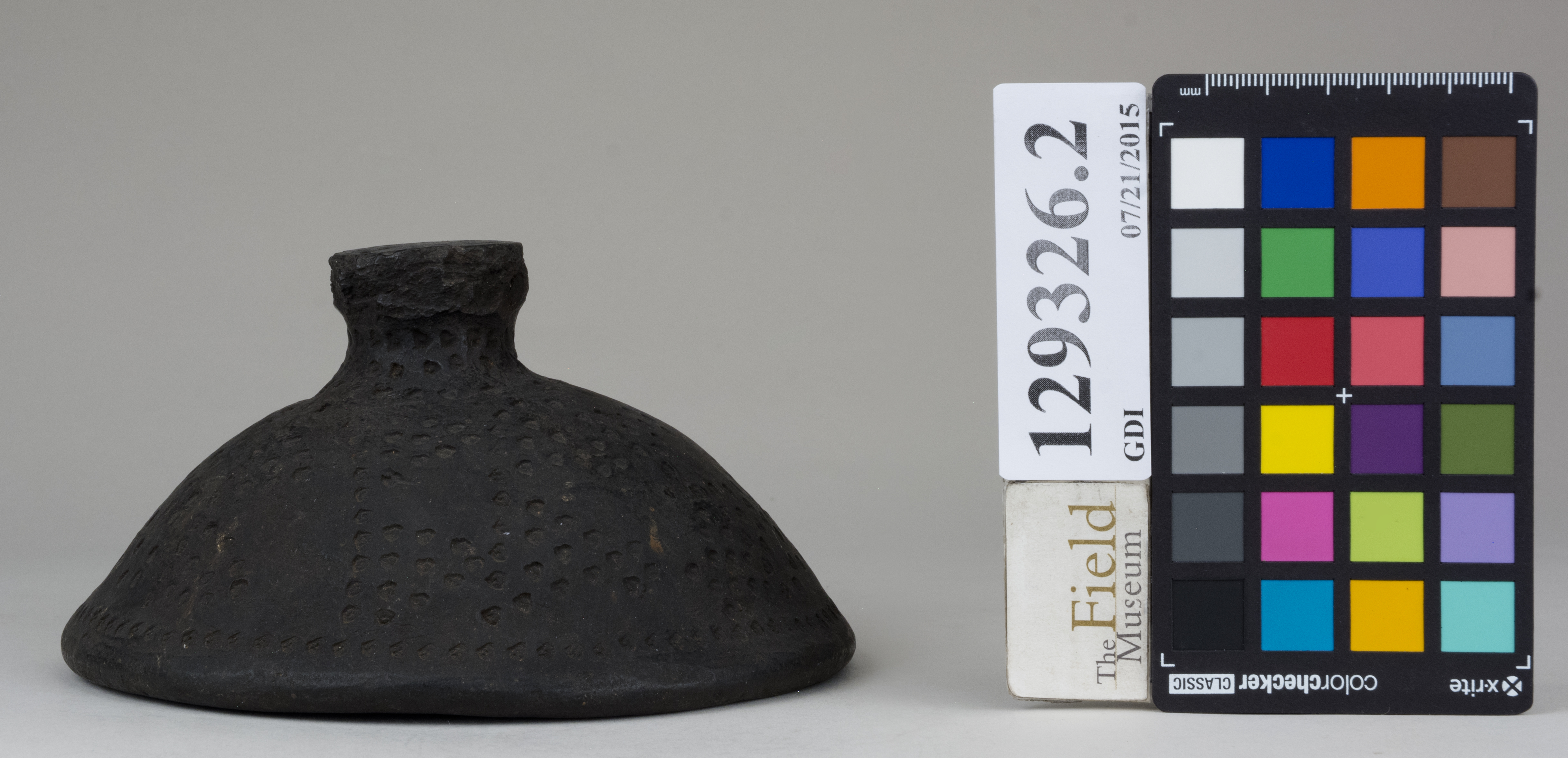 reference image, back (c) Field Museum of Natural History - CC BY-NC 4.0