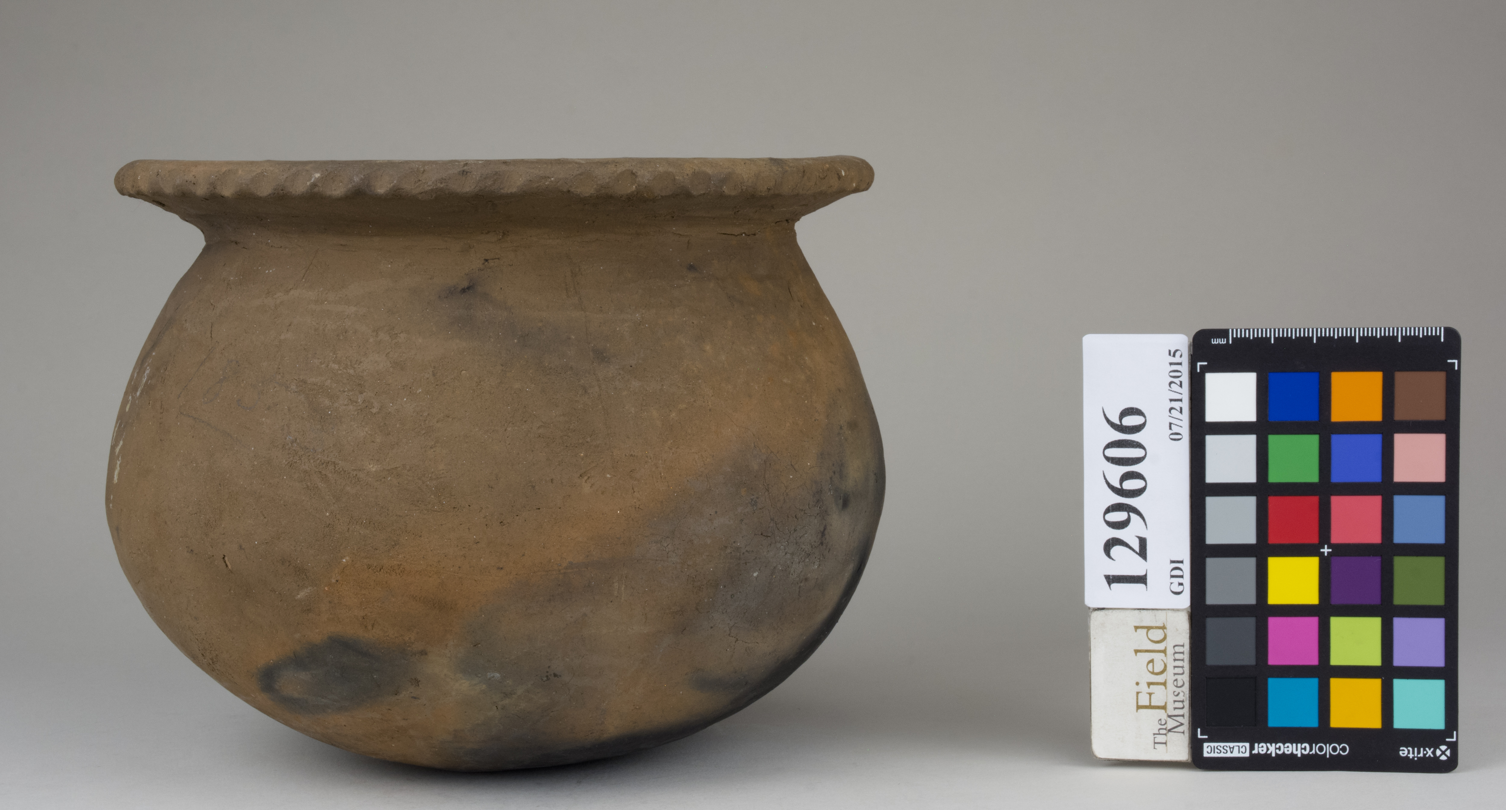 Front (c) Field Museum of Natural History - CC BY-NC 4.0