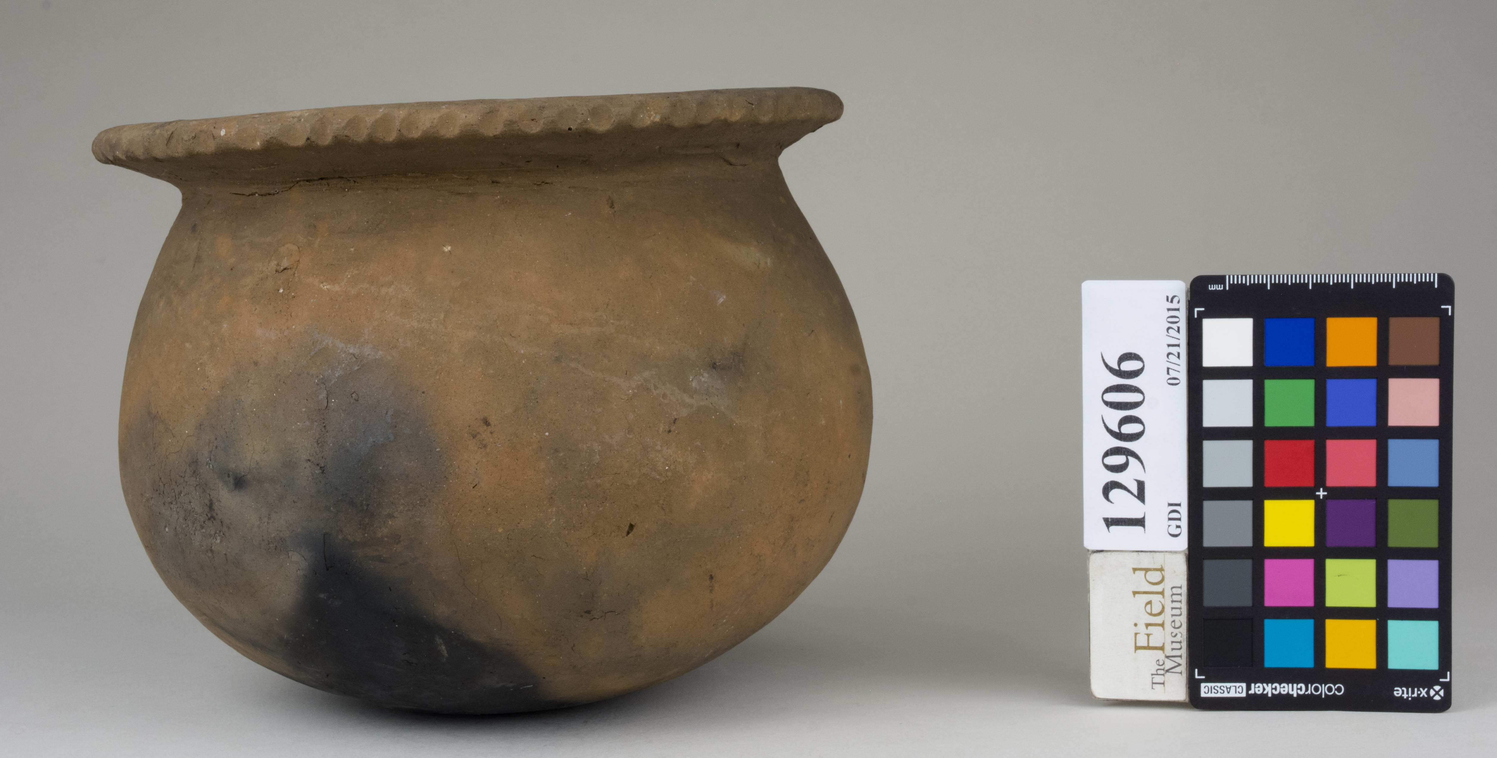 Left (c) Field Museum of Natural History - CC BY-NC 4.0