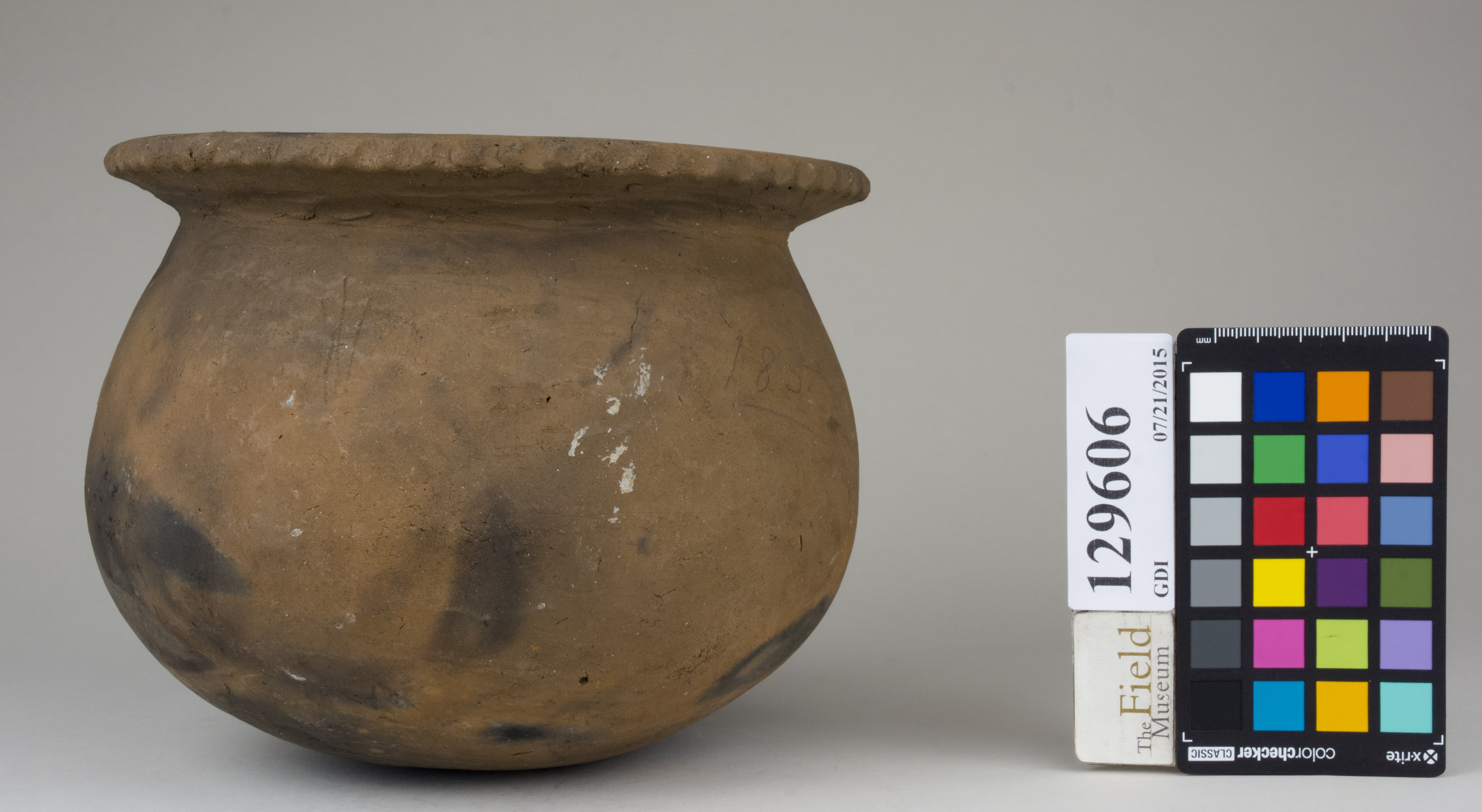 Right (c) Field Museum of Natural History - CC BY-NC 4.0