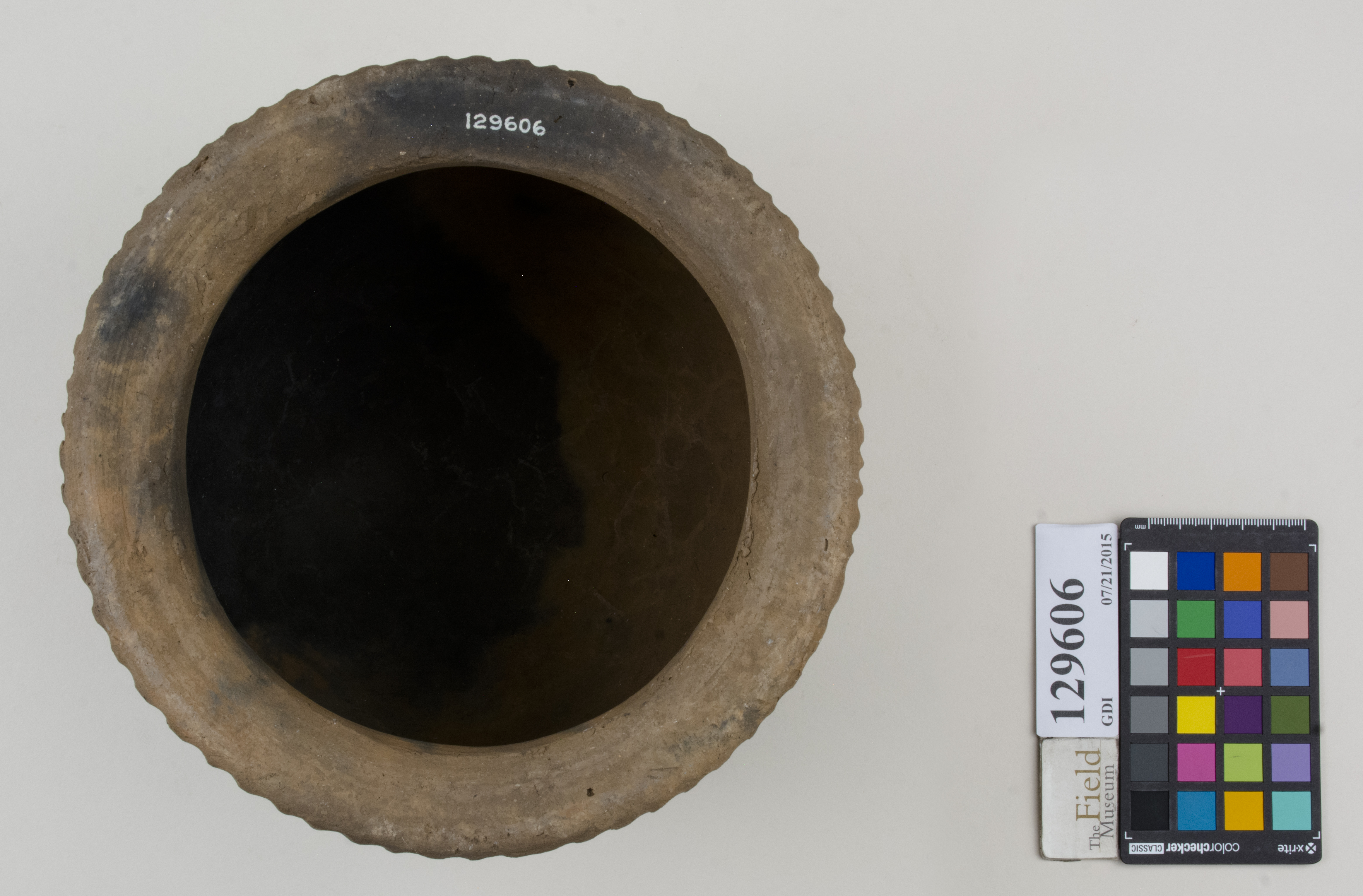 Top (c) Field Museum of Natural History - CC BY-NC 4.0