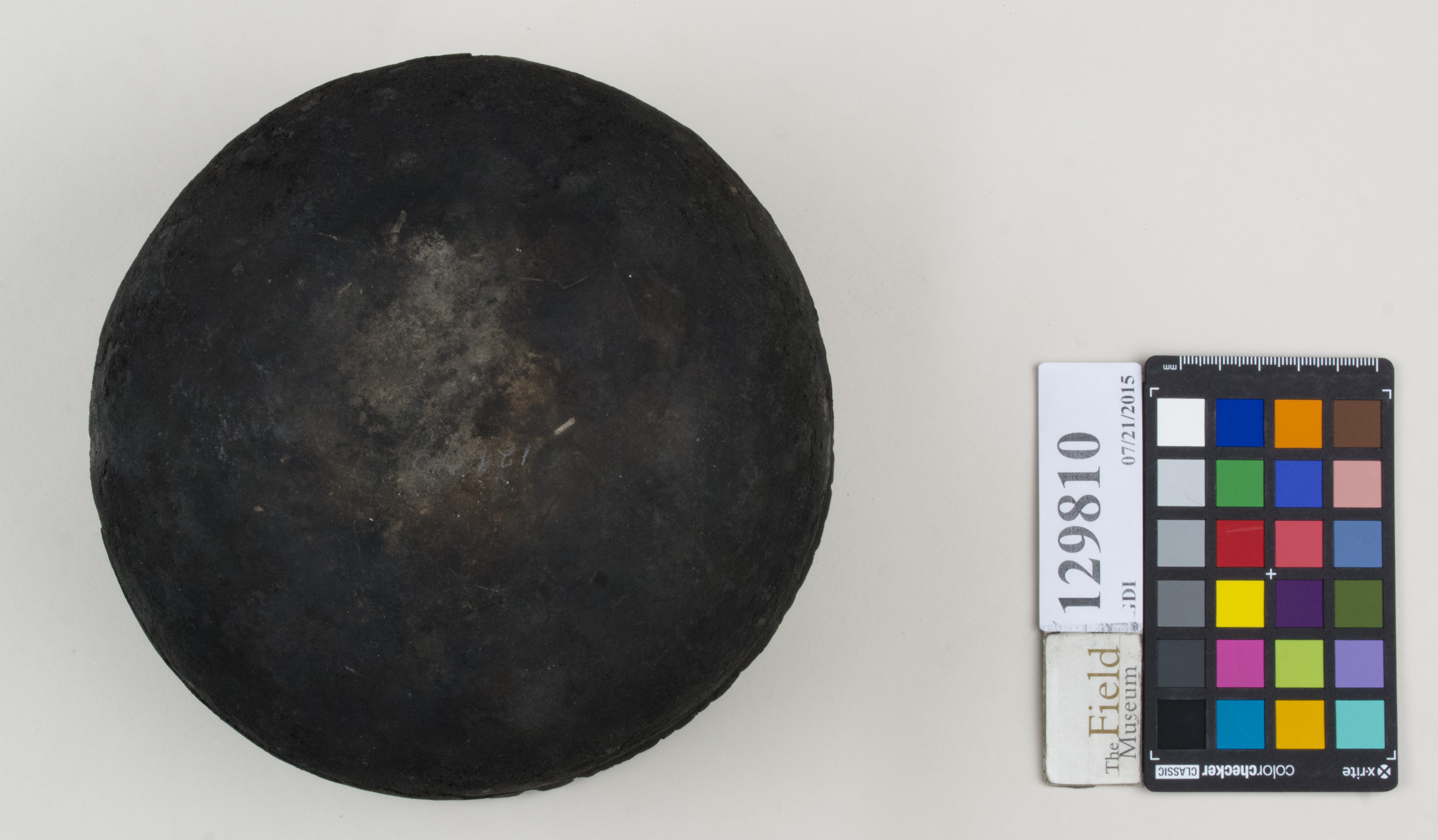 Bottom (c) Field Museum of Natural History - CC BY-NC 4.0