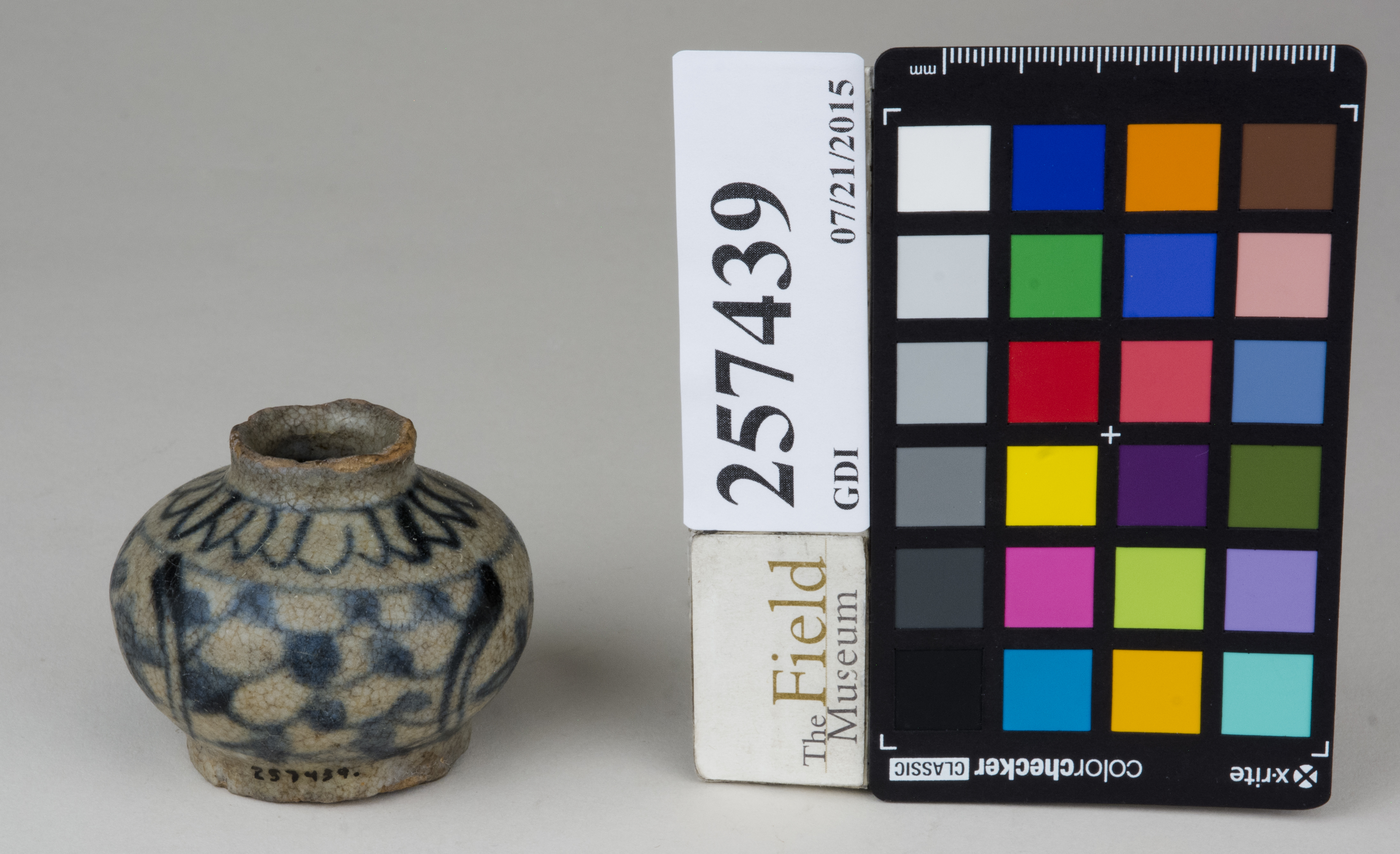 FrontAngle (c) Field Museum of Natural History - CC BY-NC 4.0