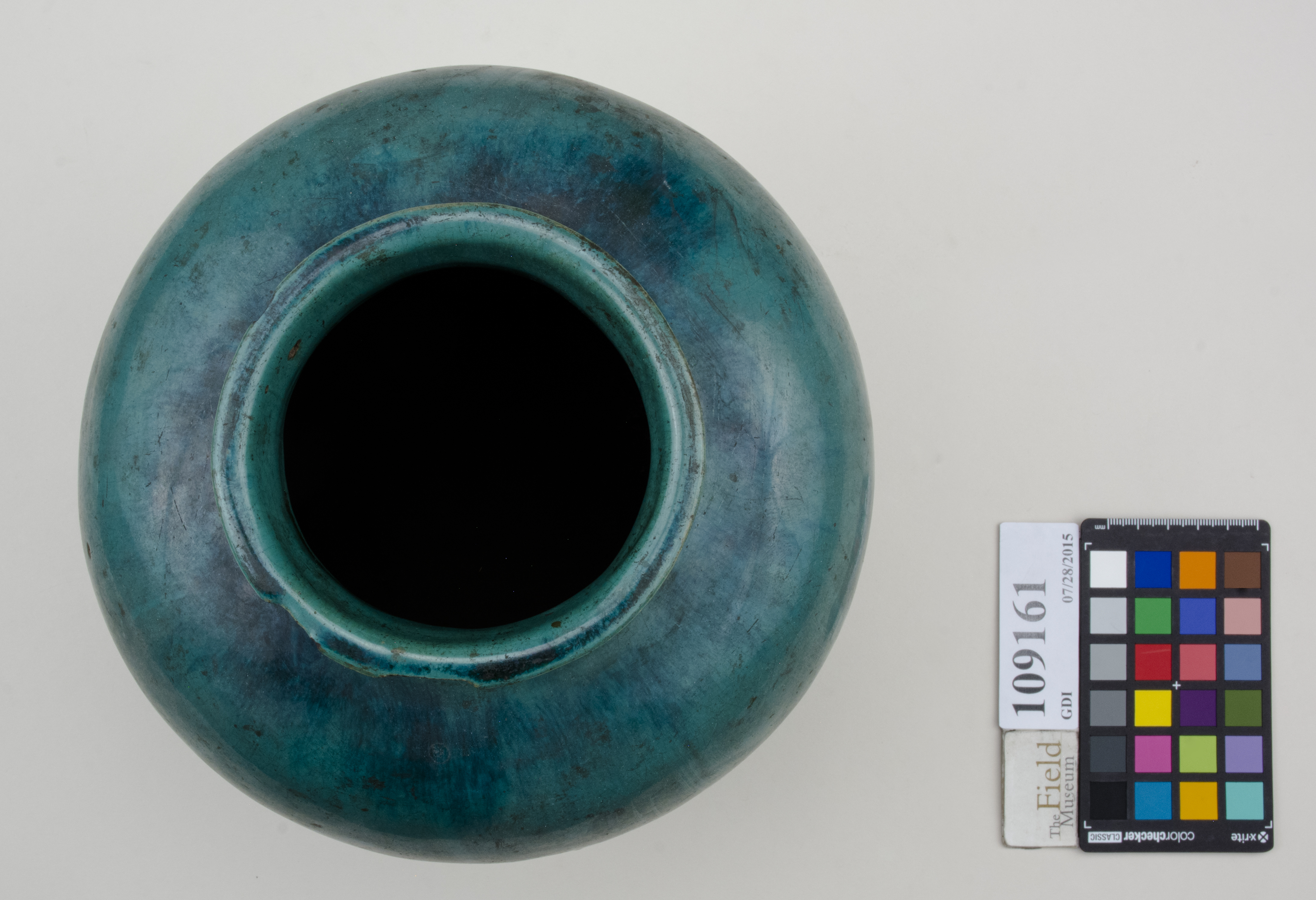 Top (c) Field Museum of Natural History - CC BY-NC 4.0