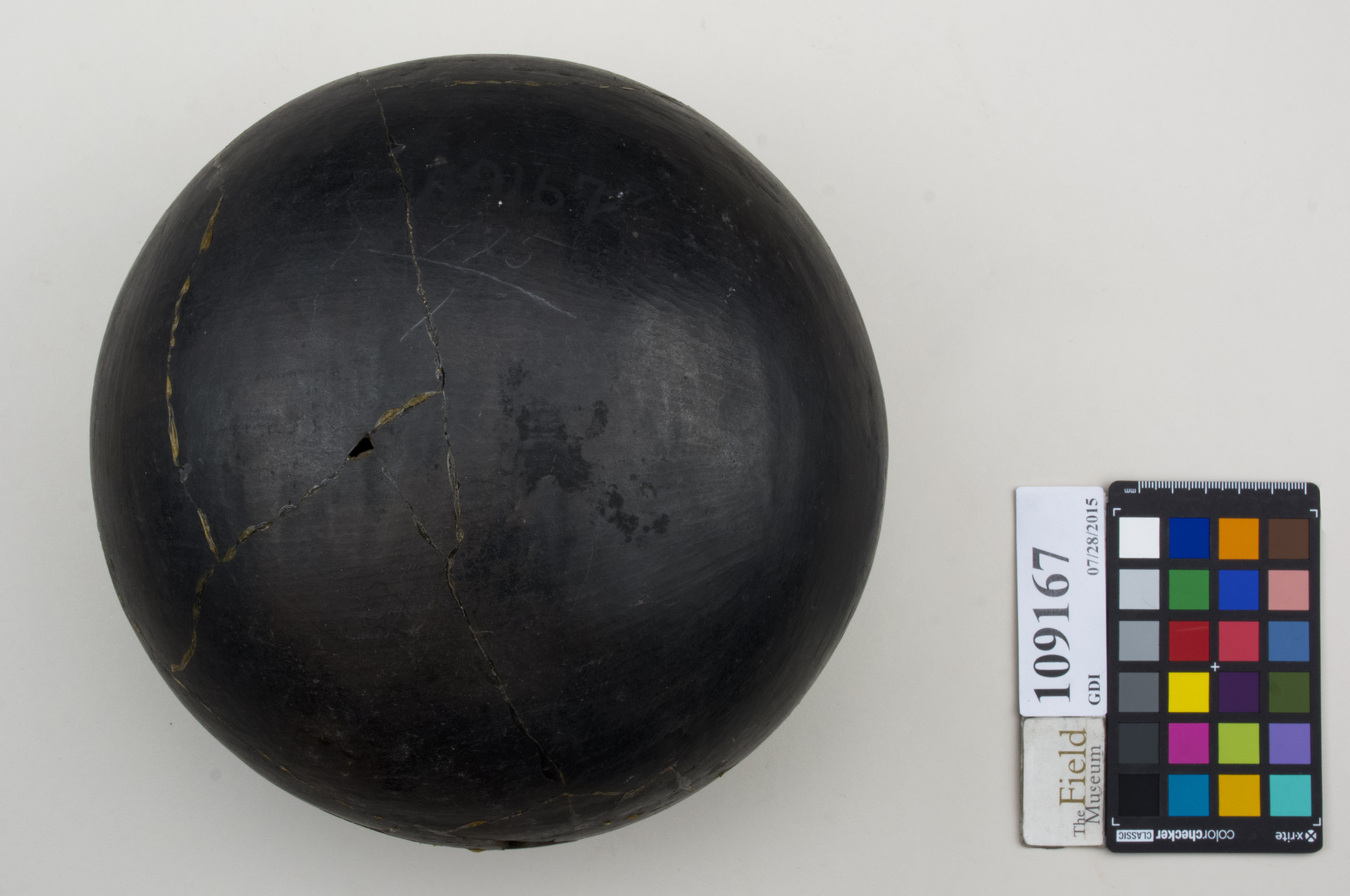 Bottom (c) Field Museum of Natural History - CC BY-NC 4.0