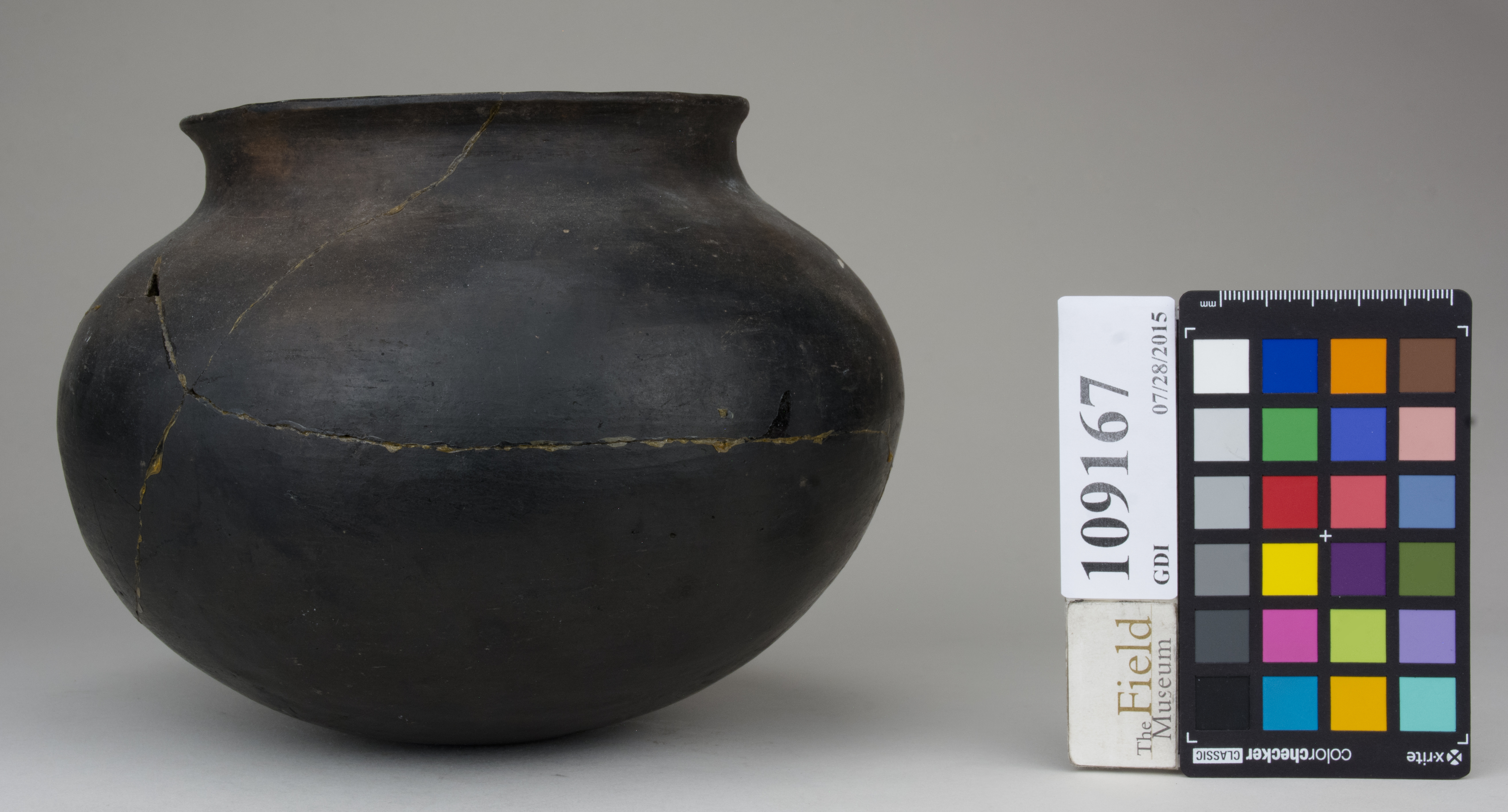 Left (c) Field Museum of Natural History - CC BY-NC 4.0