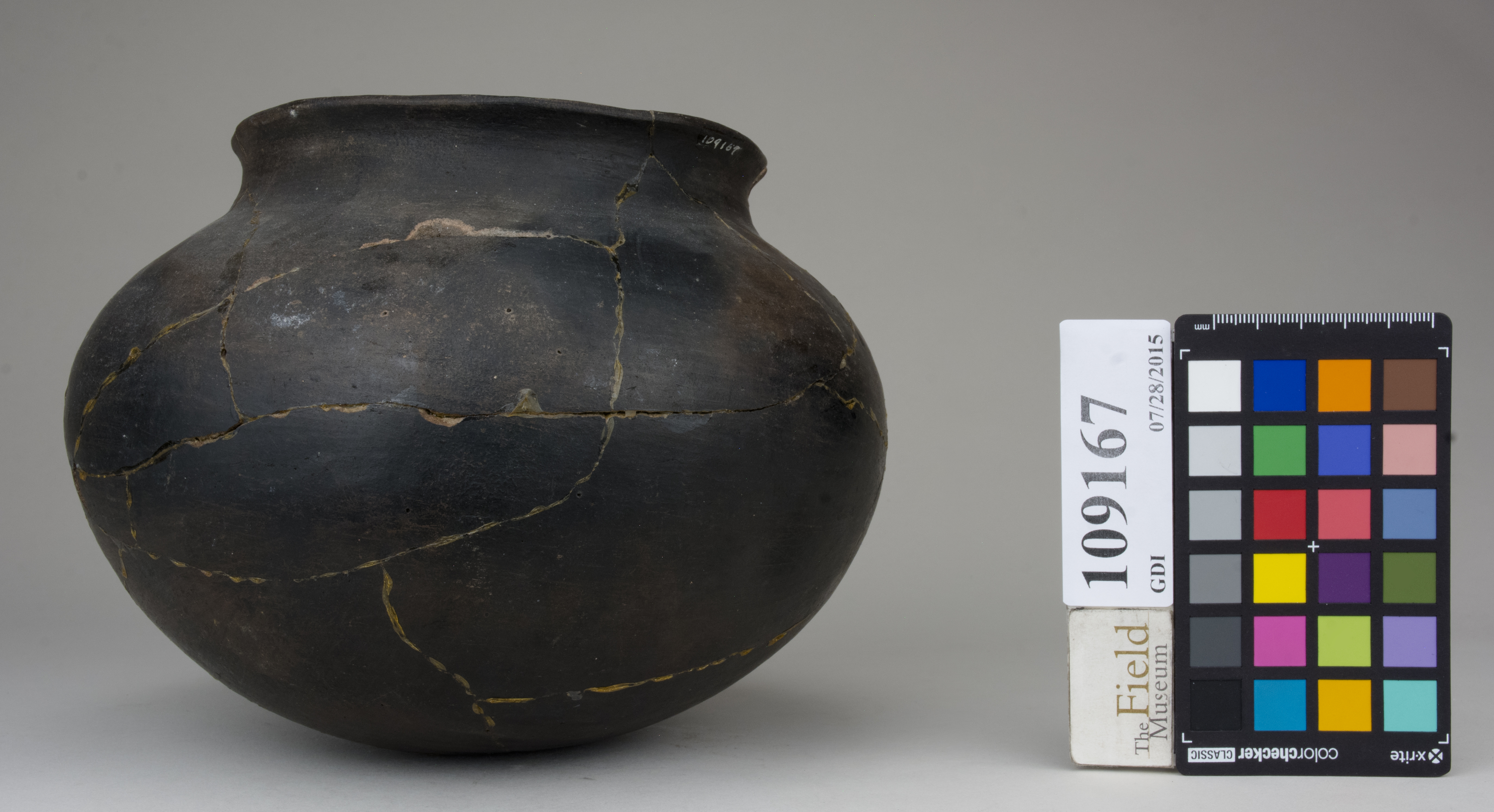 Right (c) Field Museum of Natural History - CC BY-NC 4.0