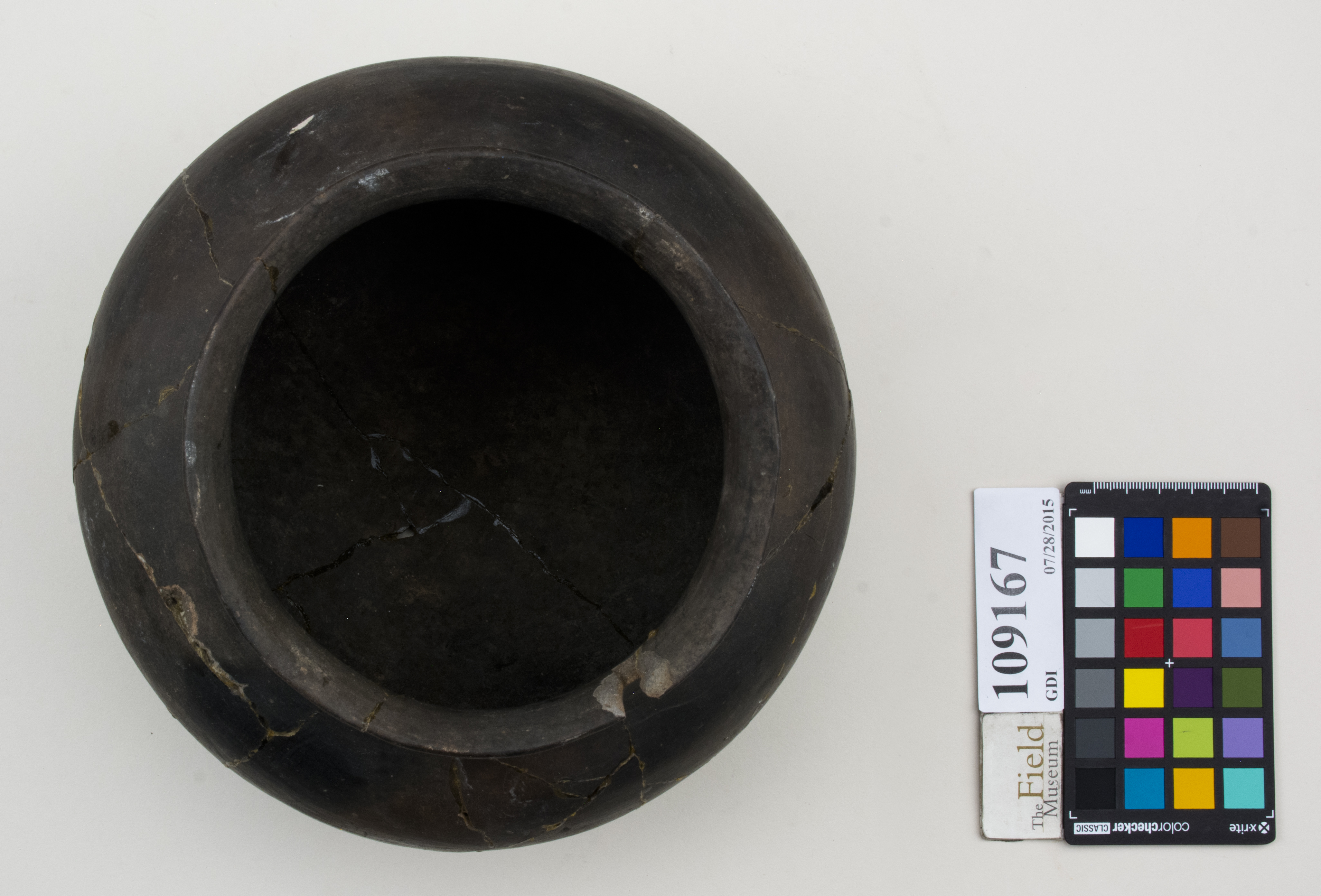 Top (c) Field Museum of Natural History - CC BY-NC 4.0