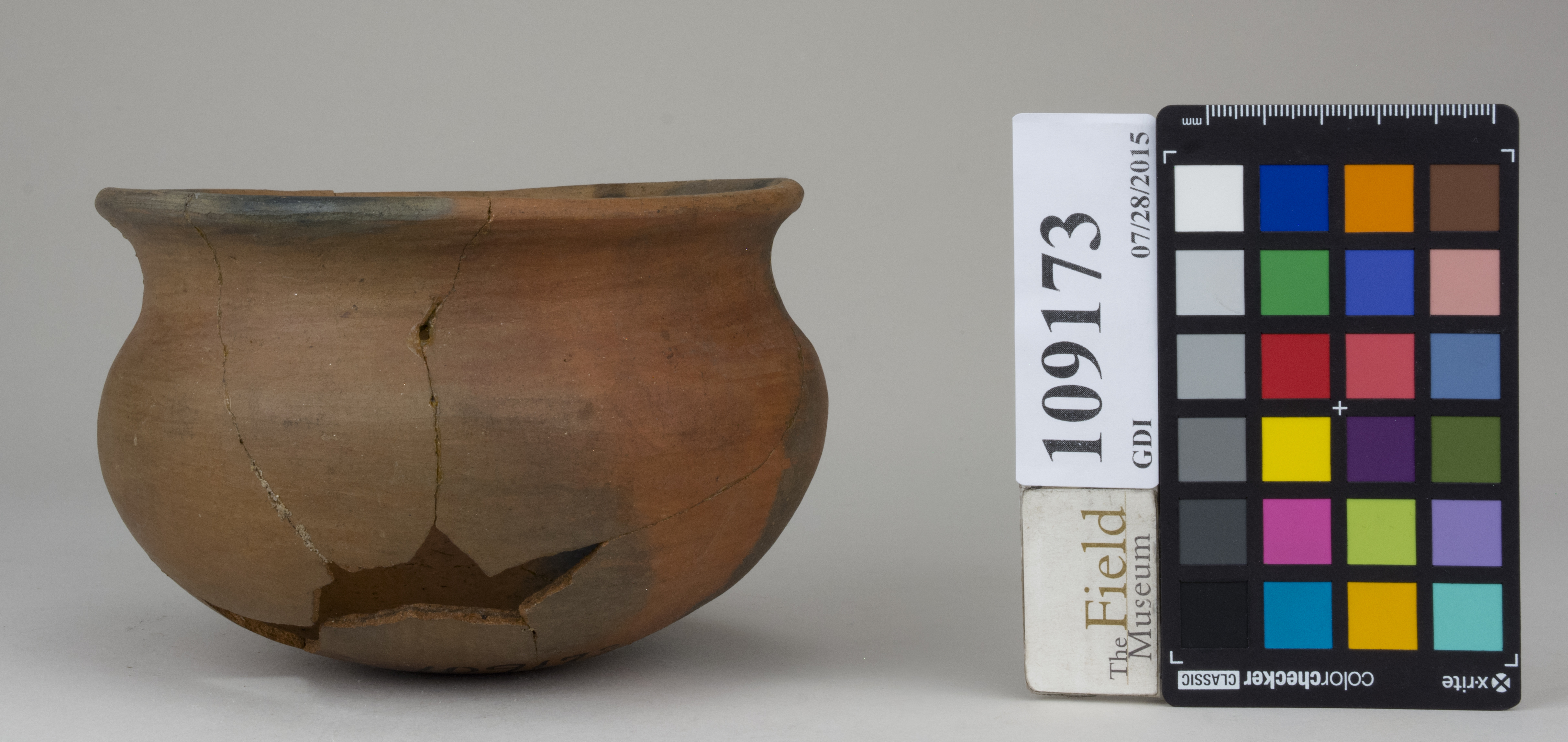 Front (c) Field Museum of Natural History - CC BY-NC 4.0